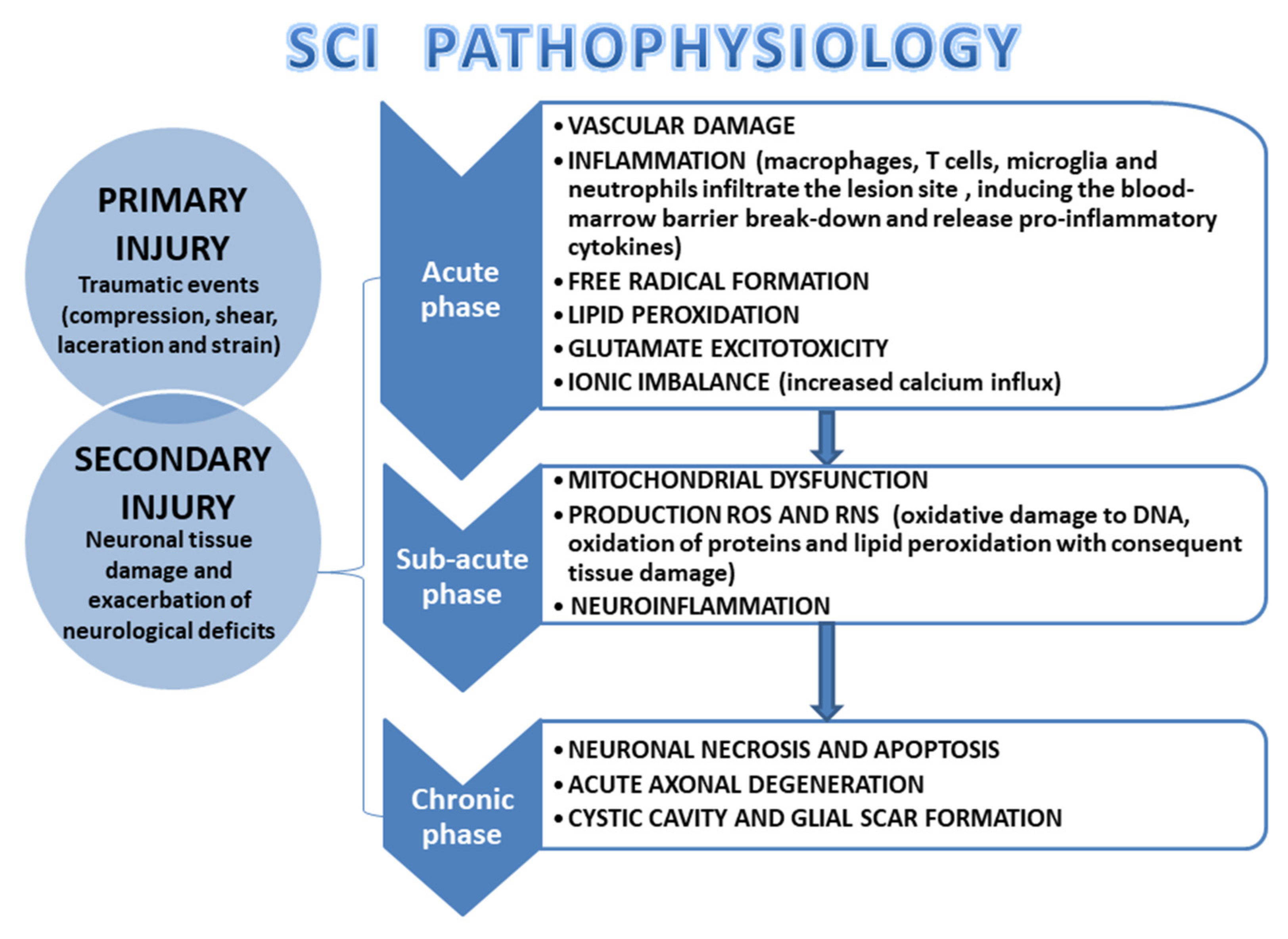 Cells 11 02177 g002 Cells 11 02177 g002