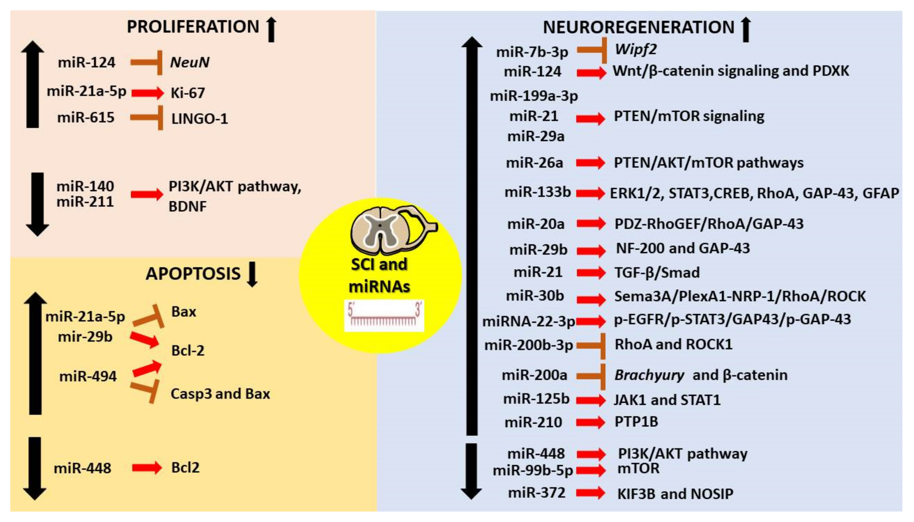 Cells 11 02177 g005 Cells 11 02177 g005