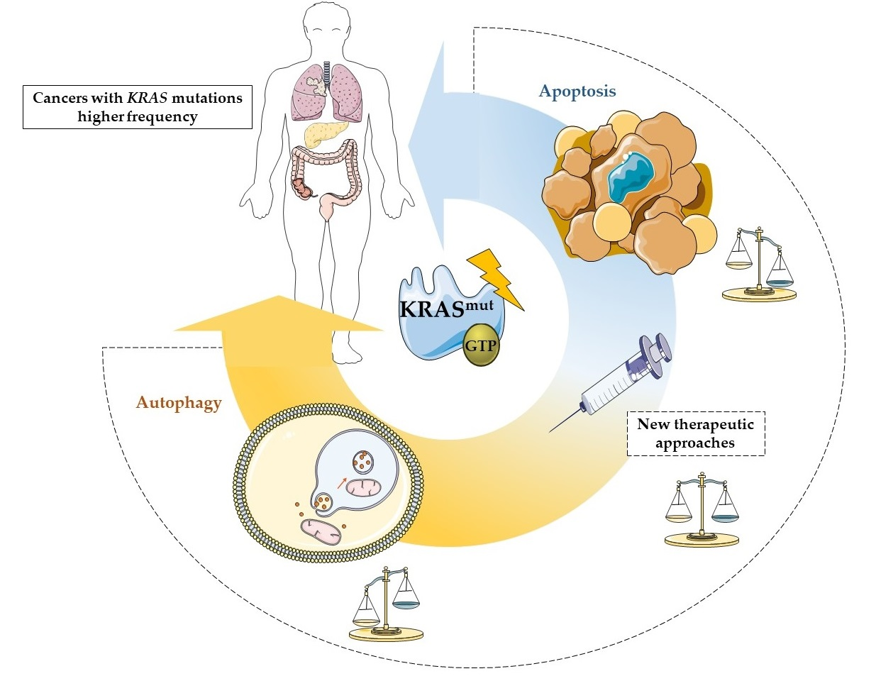 Cells | Free Full-Text | Crucial Role of Oncogenic KRAS Mutations 