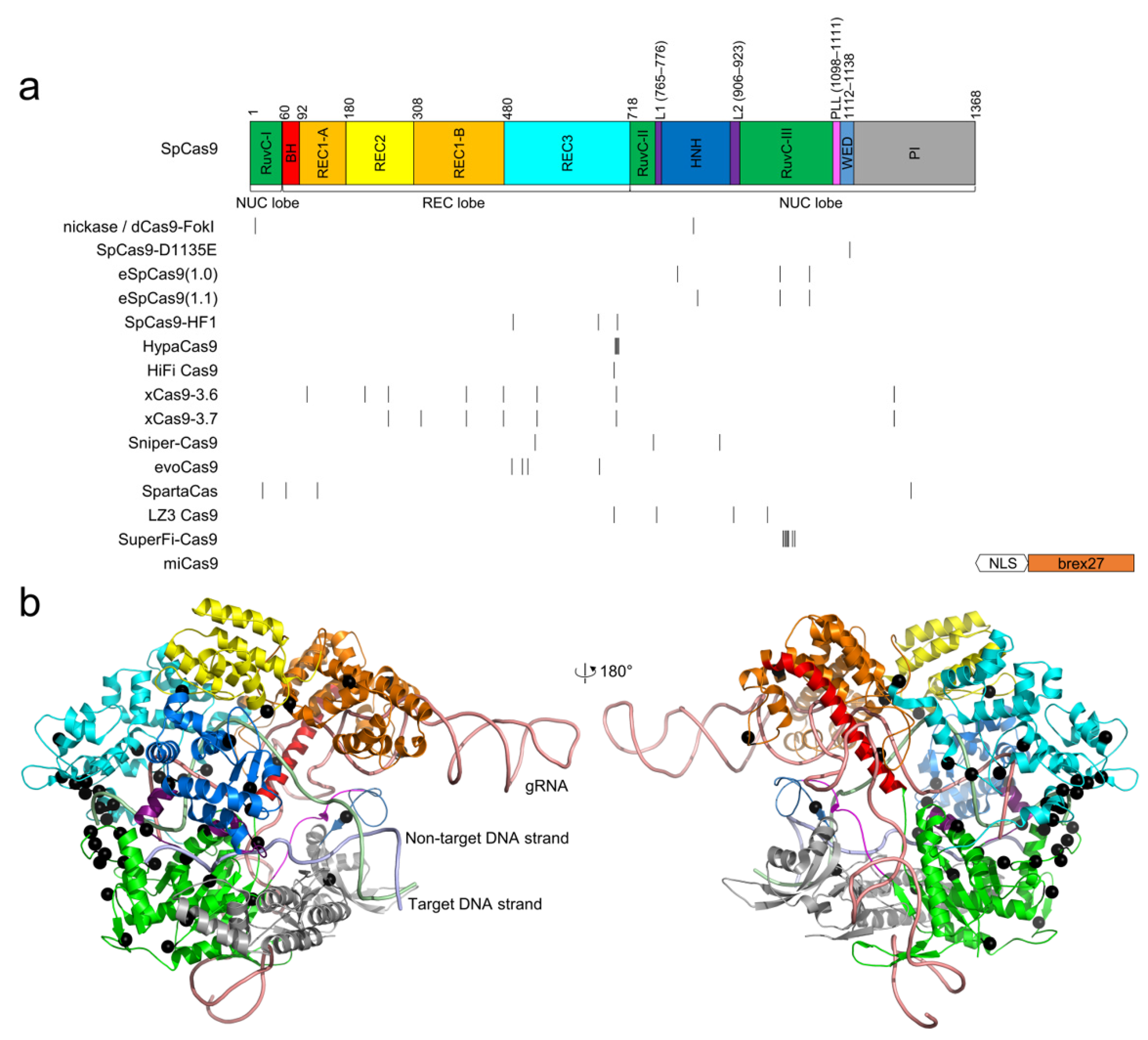 Cells 11 02186 g001 Cells 11 02186 g001