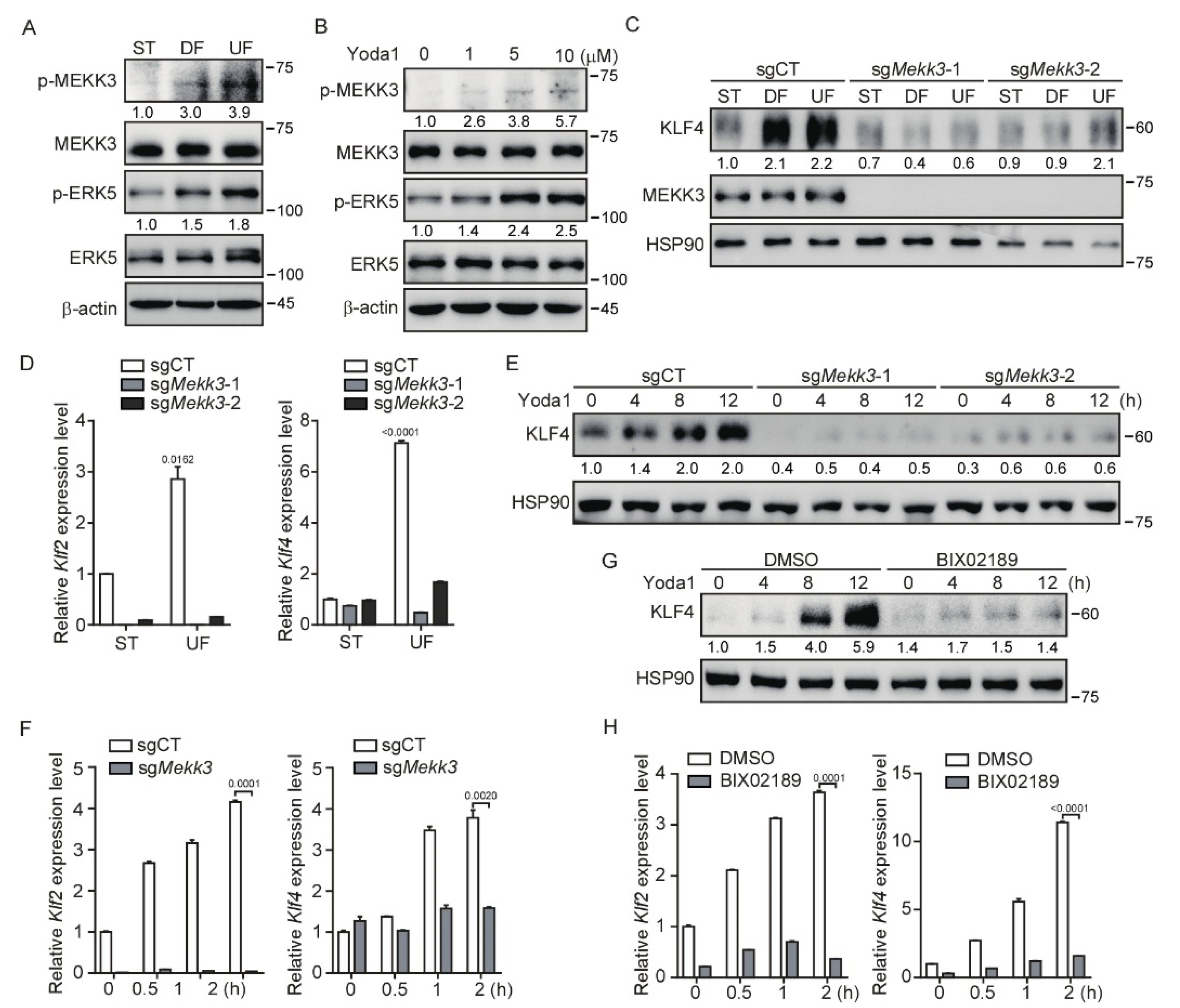 Cells 11 02191 g003 550