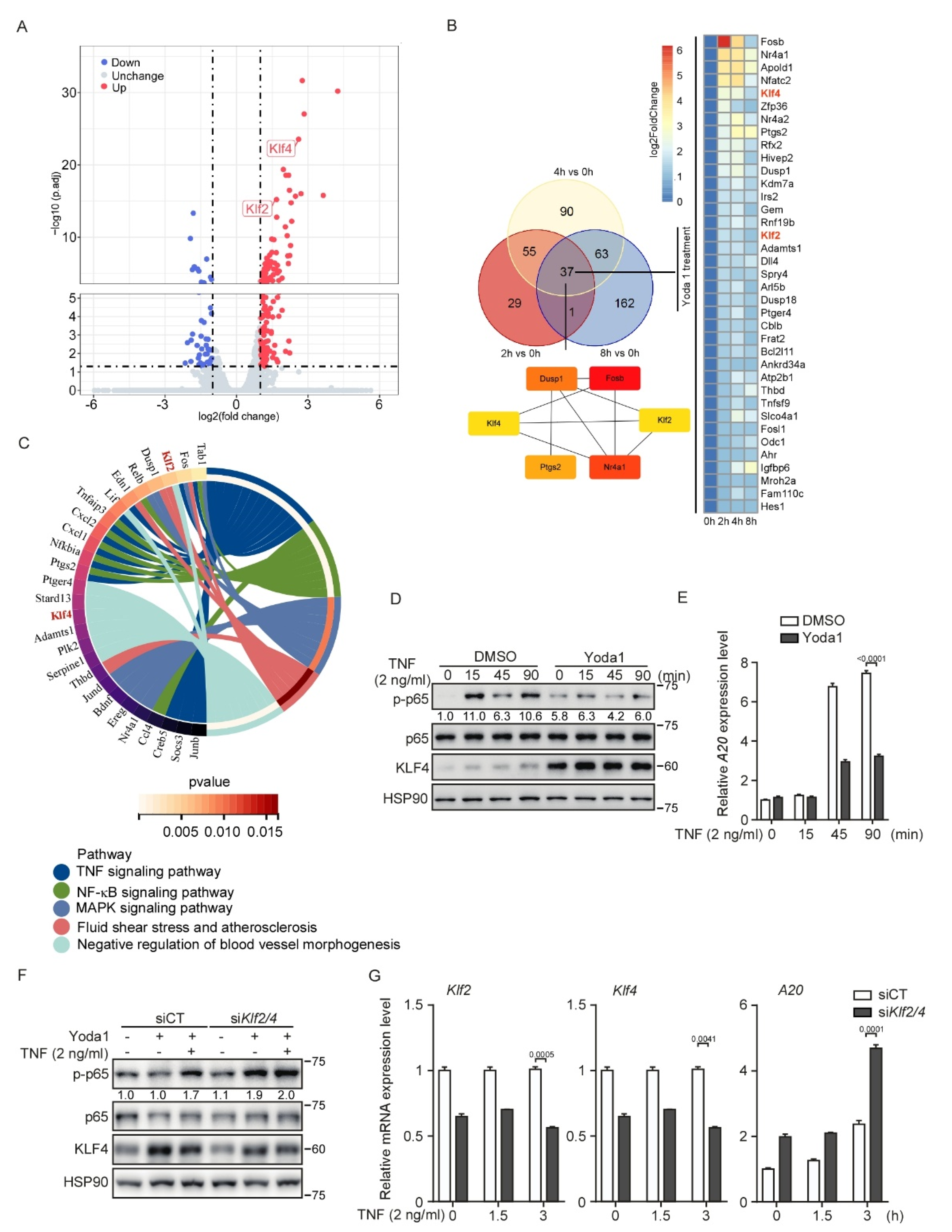 Cells 11 02191 g006 550
