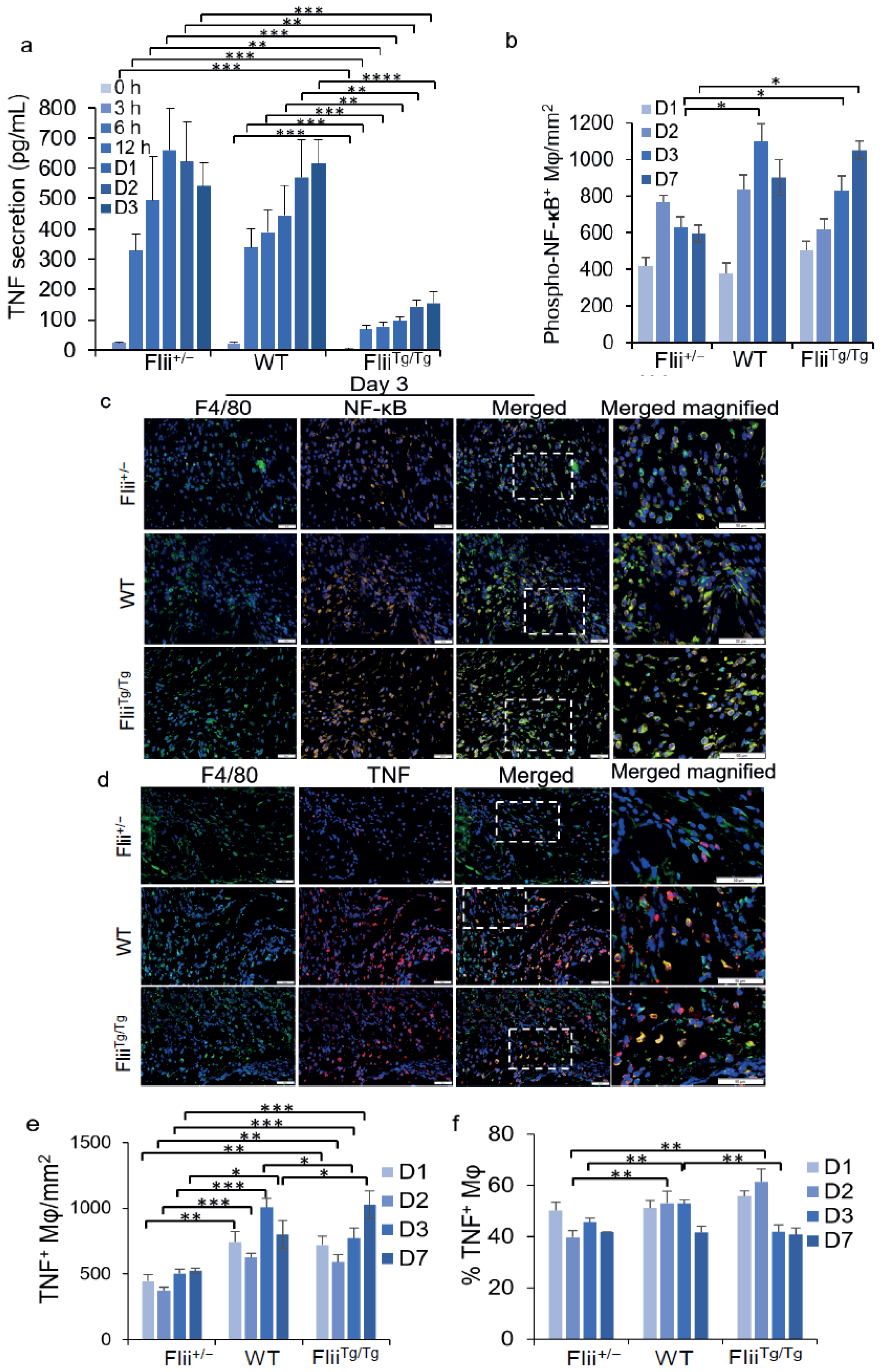 Cells 11 02192 g003 Cells 11 02192 g003