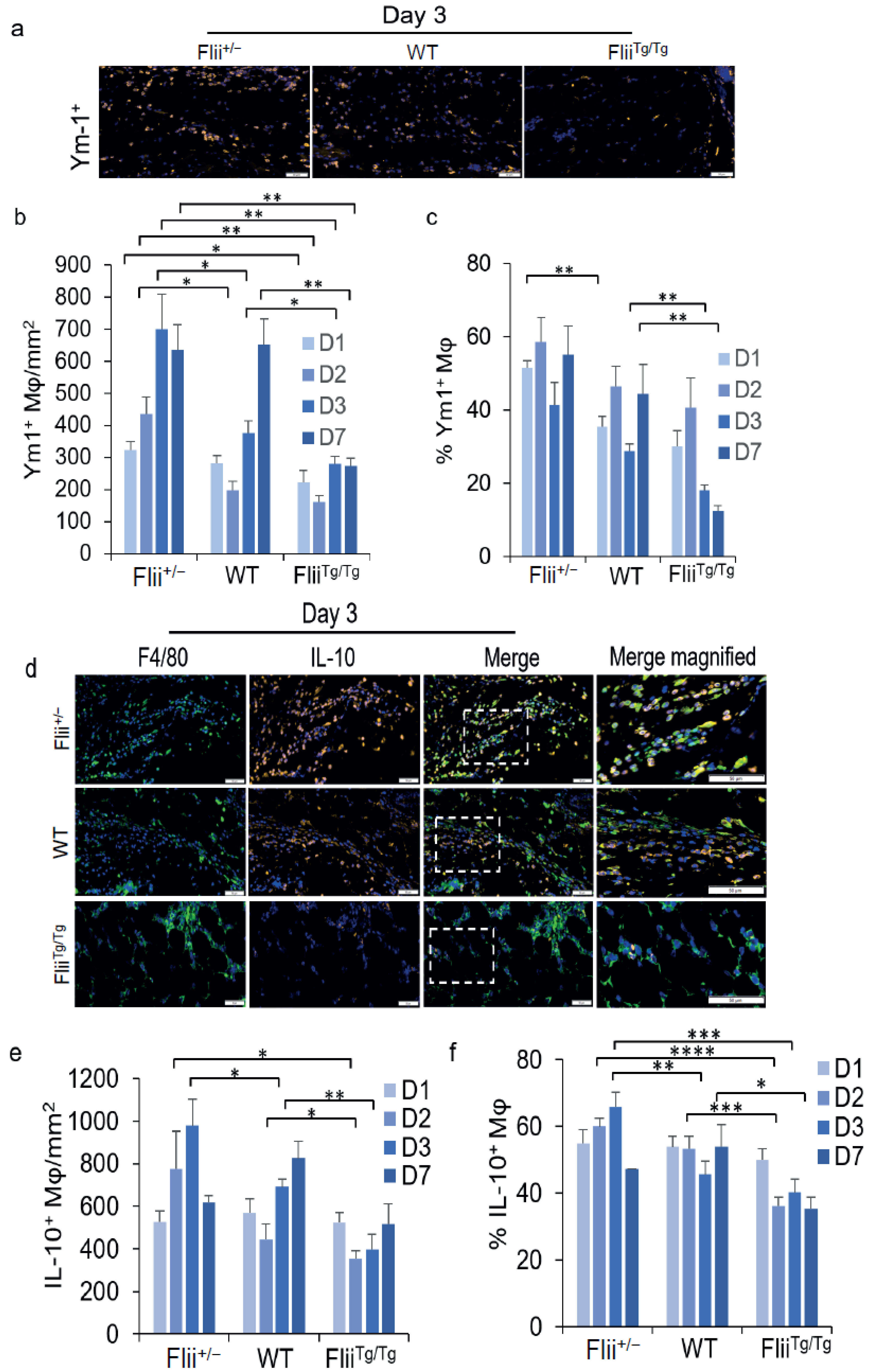 Cells 11 02192 g004 Cells 11 02192 g004