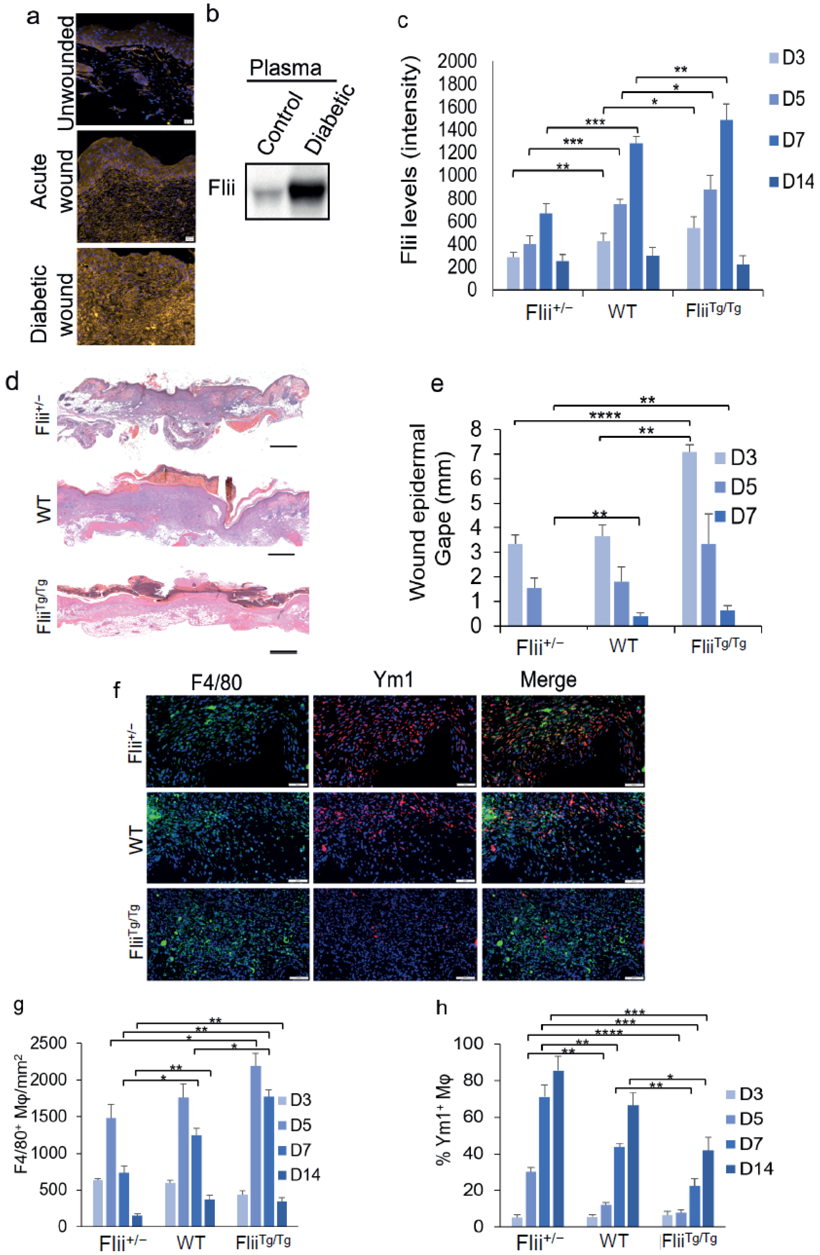Cells 11 02192 g006 Cells 11 02192 g006