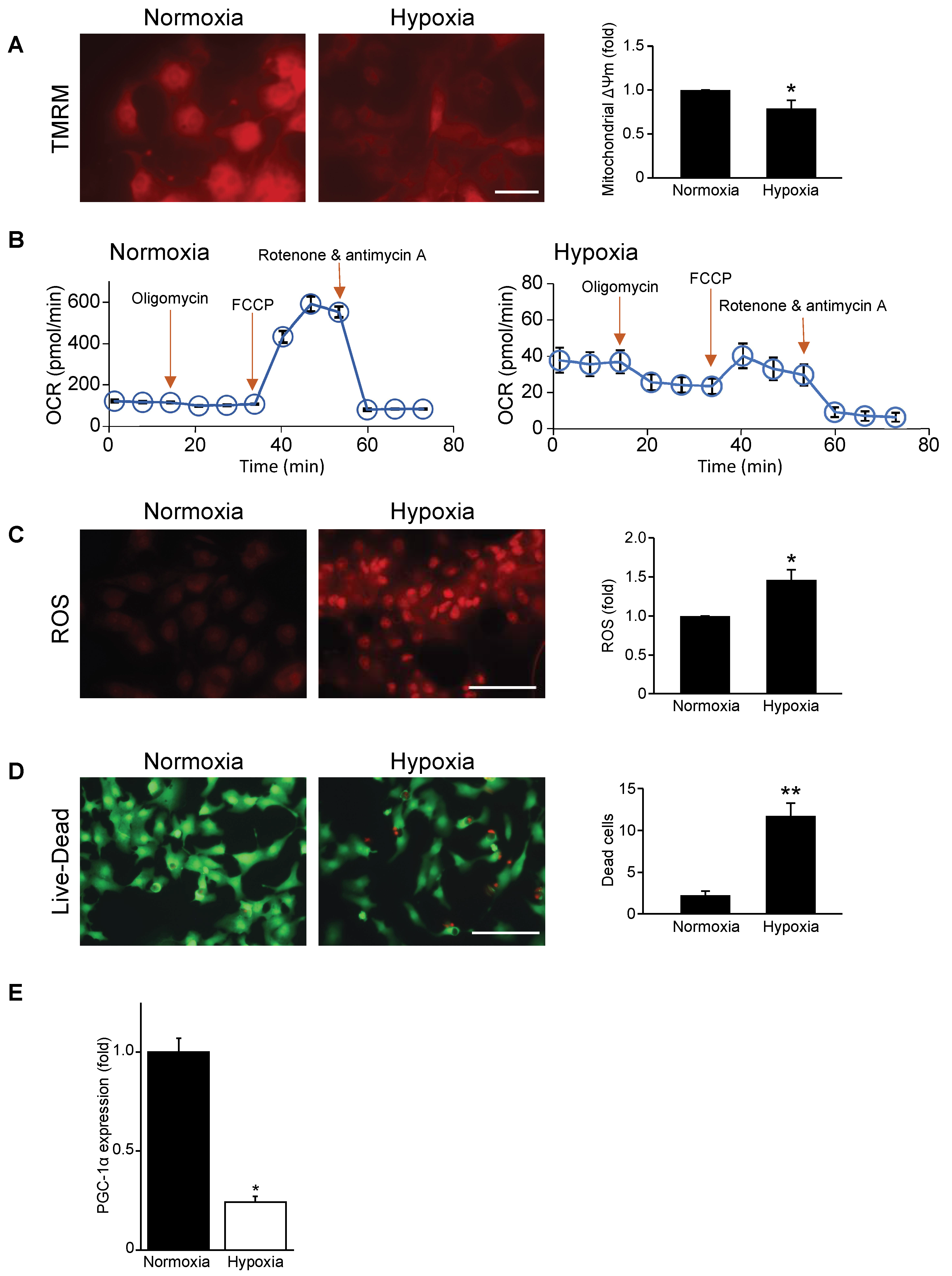 Cells 11 02193 g001 Cells 11 02193 g001