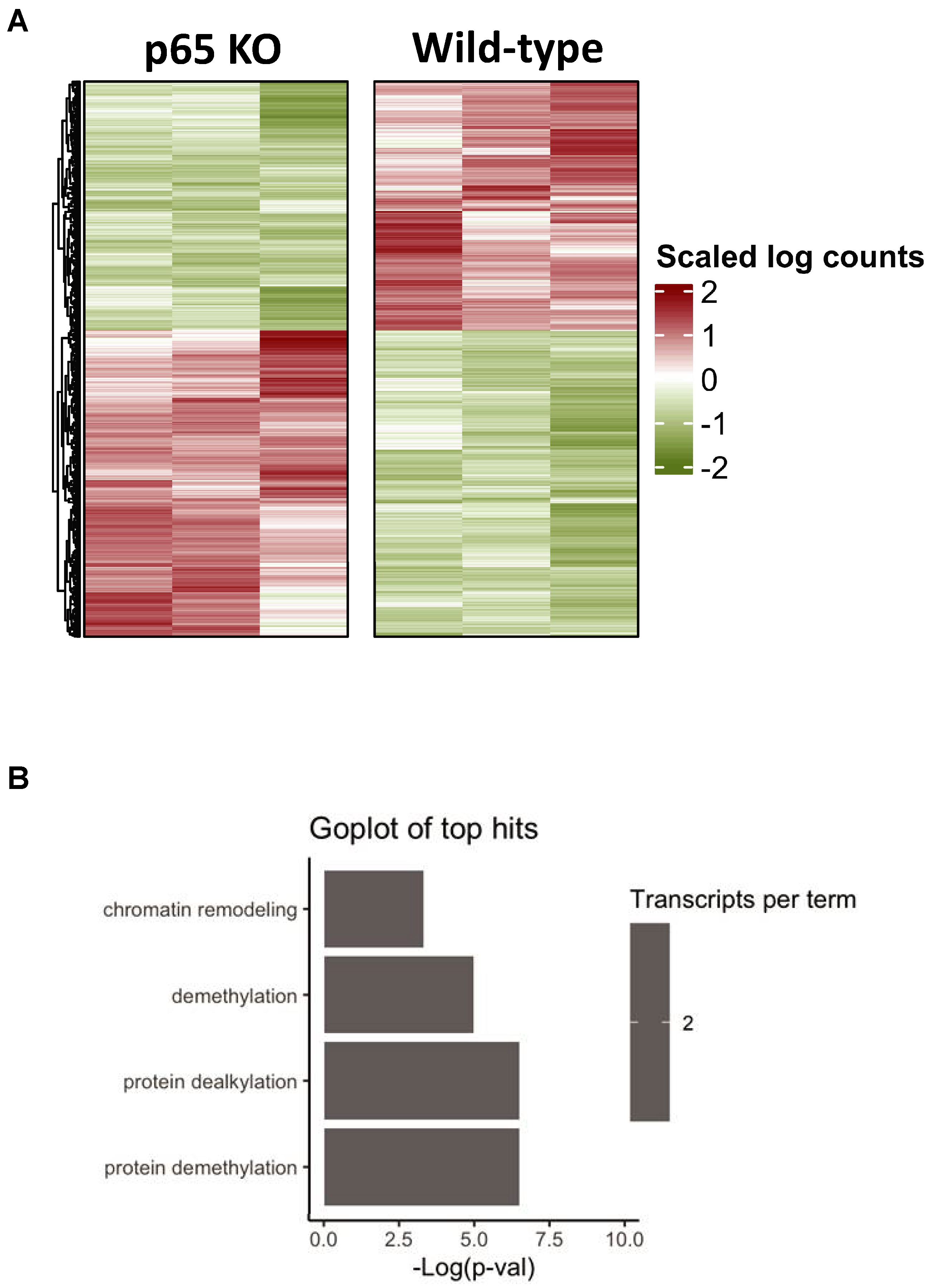 Cells 11 02193 g006 Cells 11 02193 g006