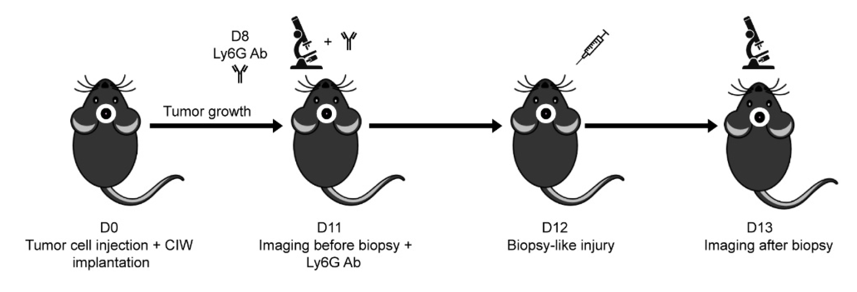 Cells 11 02196 g001 550