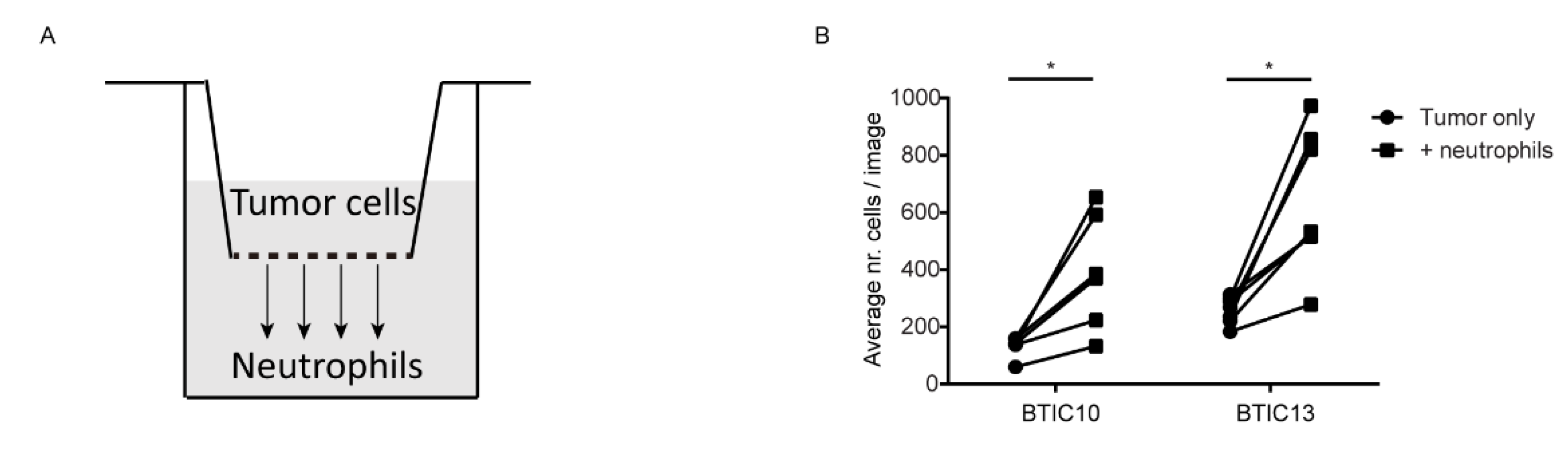 Cells 11 02196 g004 550