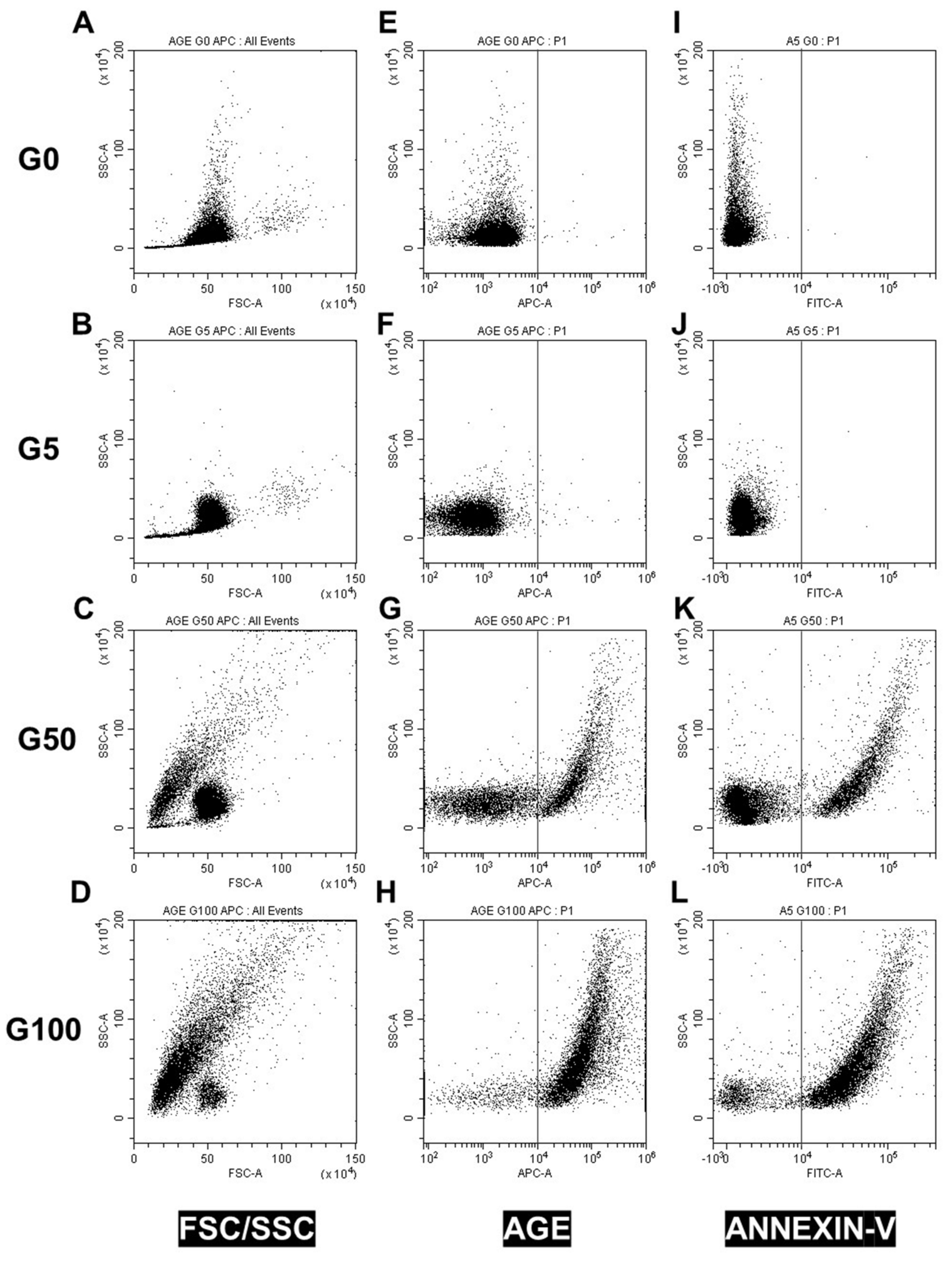 Cells 11 02200 g001 550