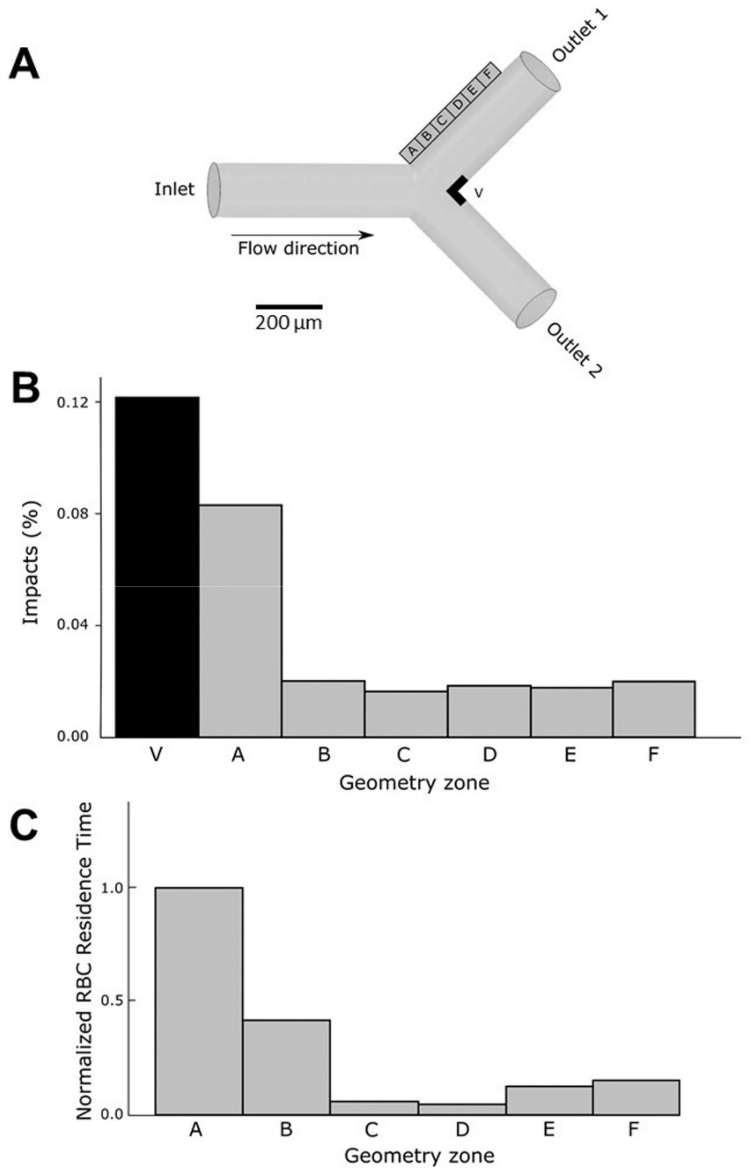 Cells 11 02200 g009 550