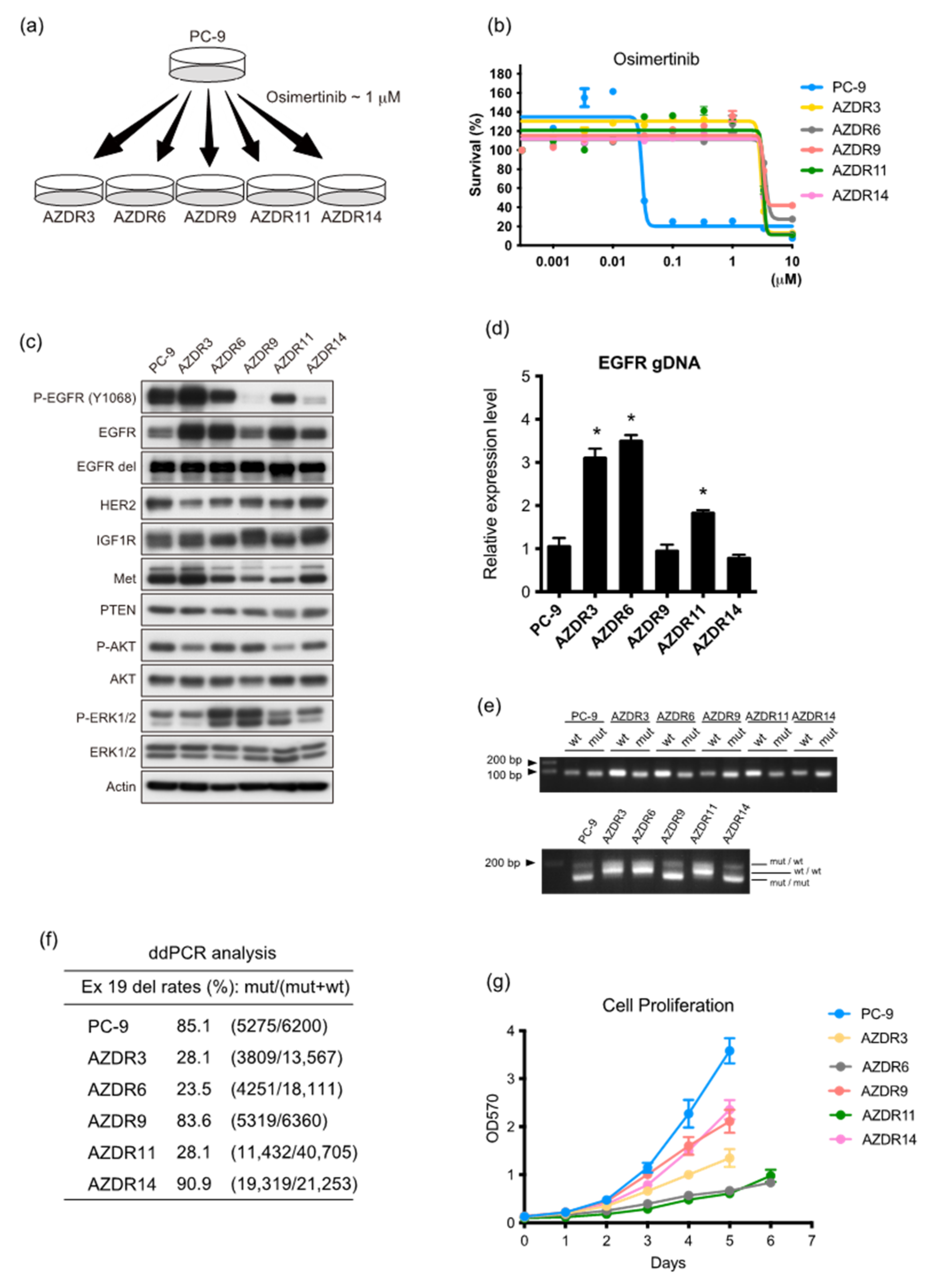Cells 11 02201 g001 550