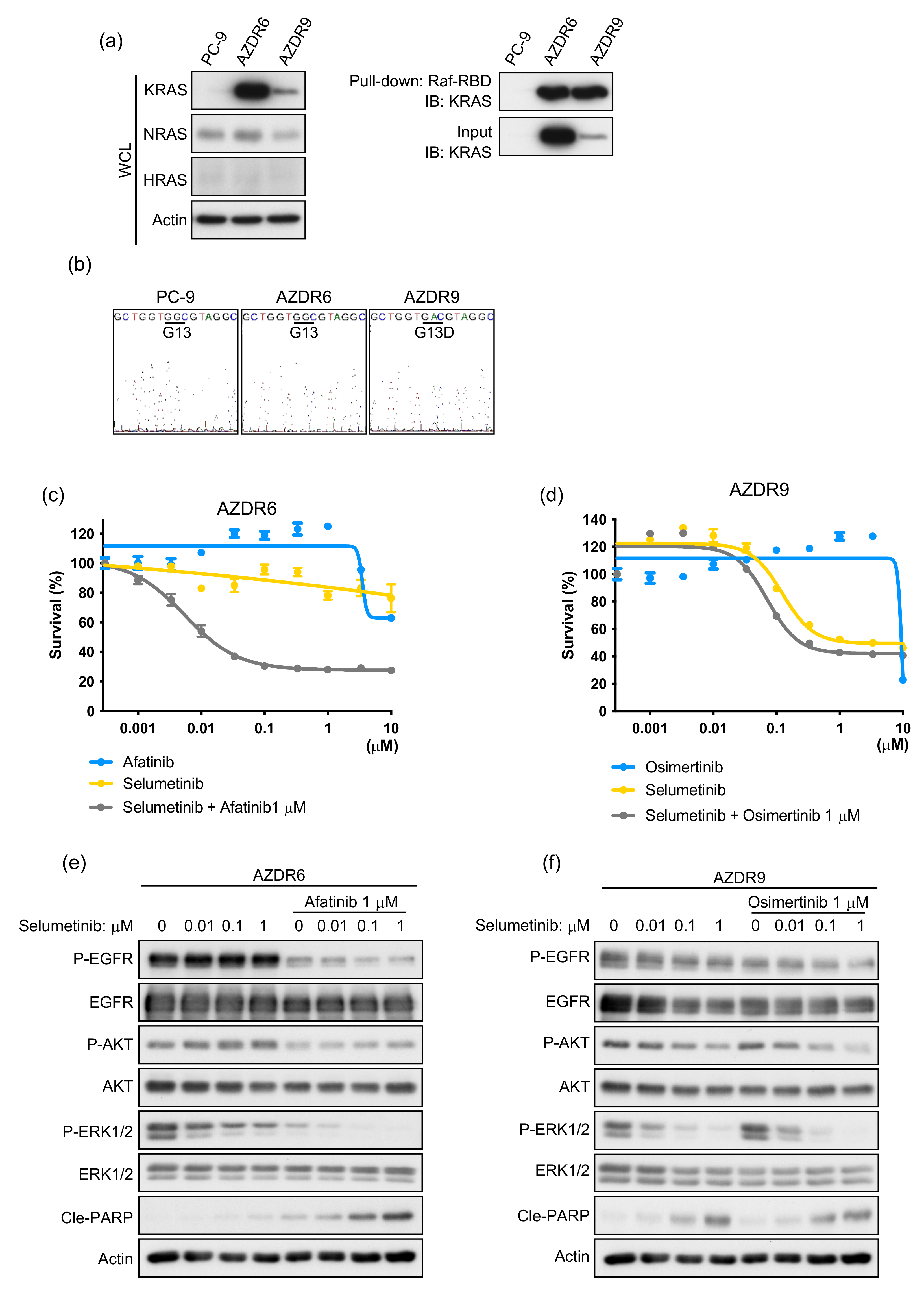 Cells 11 02201 g003 550