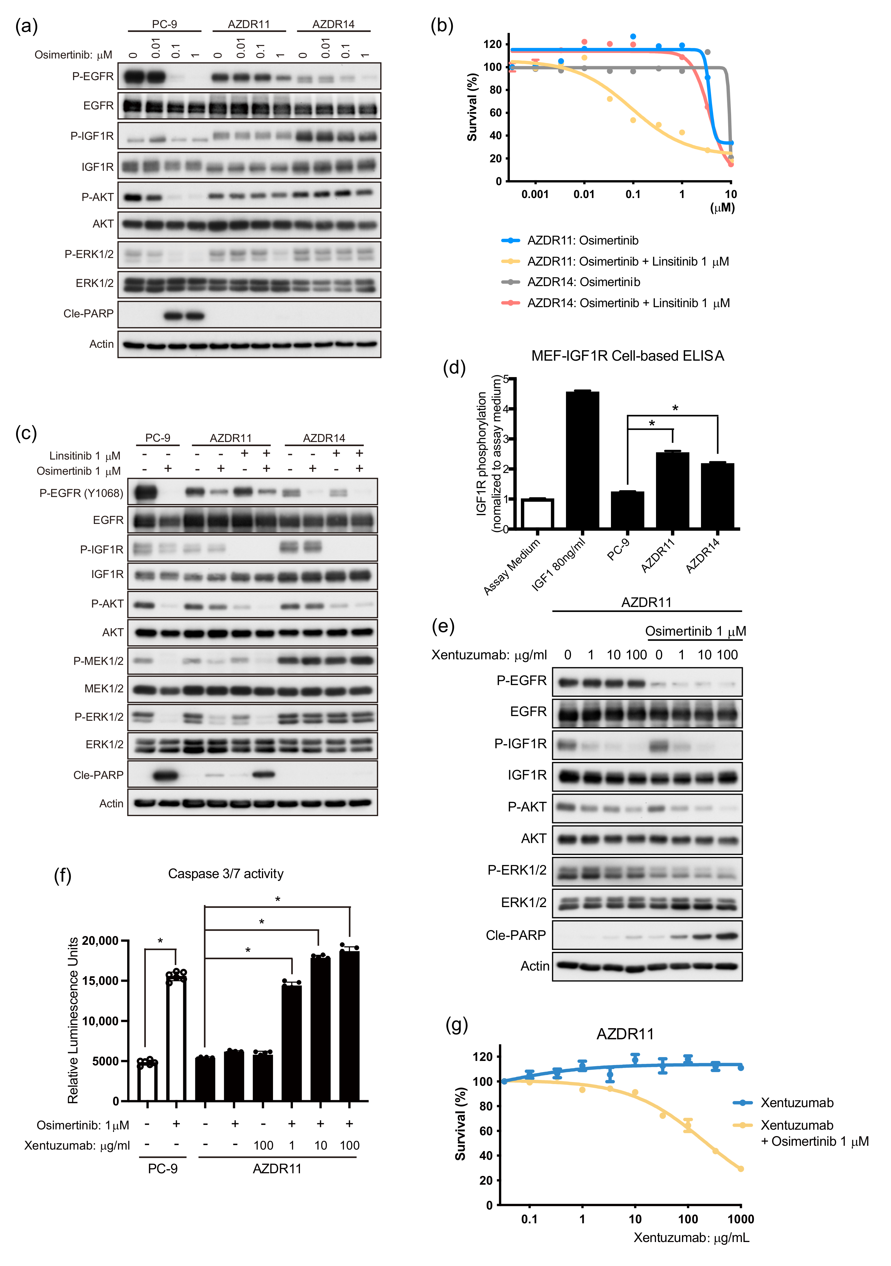 Cells 11 02201 g004 550