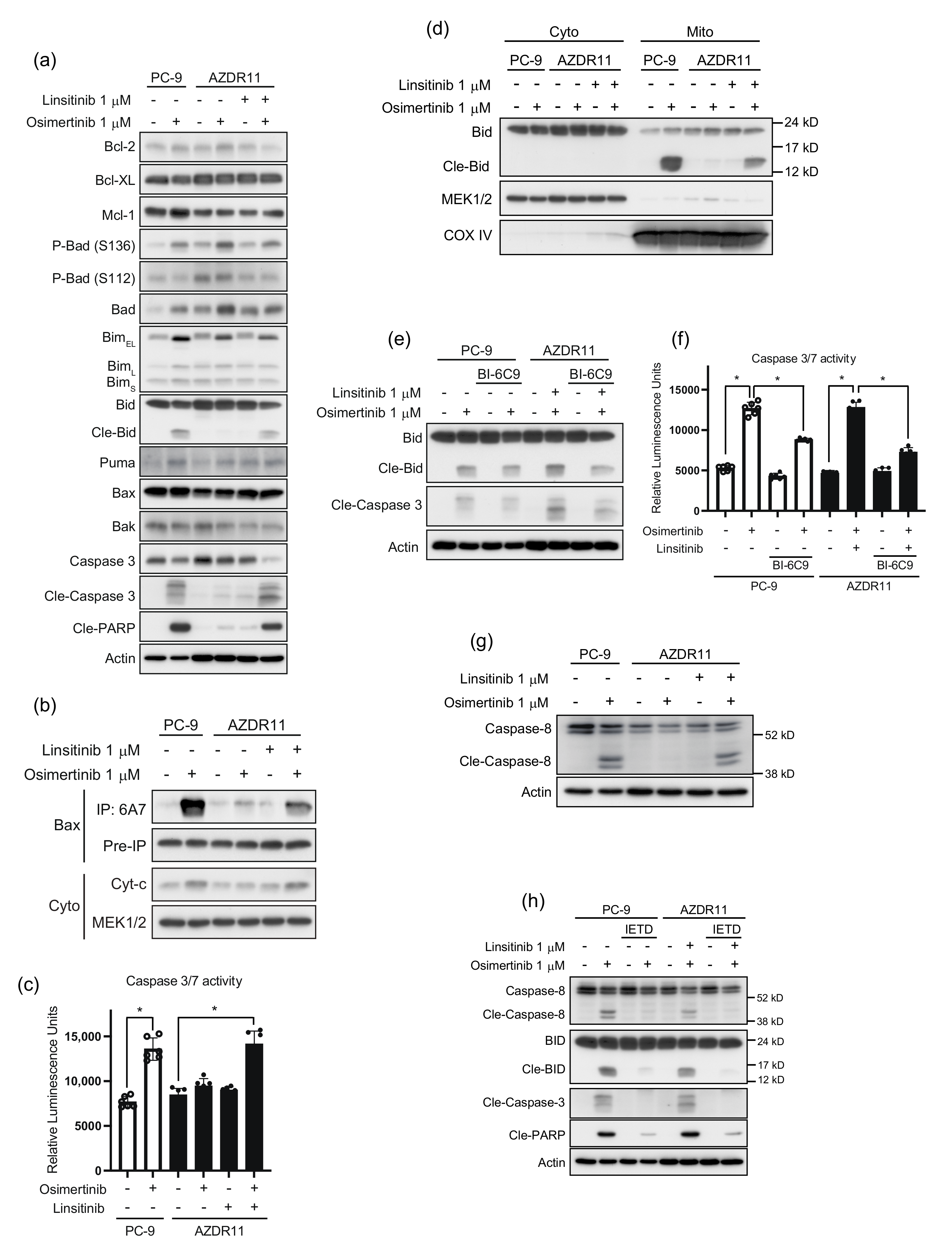 Cells 11 02201 g005 550