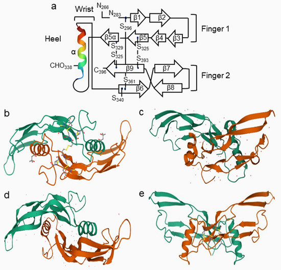 BMP Signaling Pathway in Dentin Development and Diseases