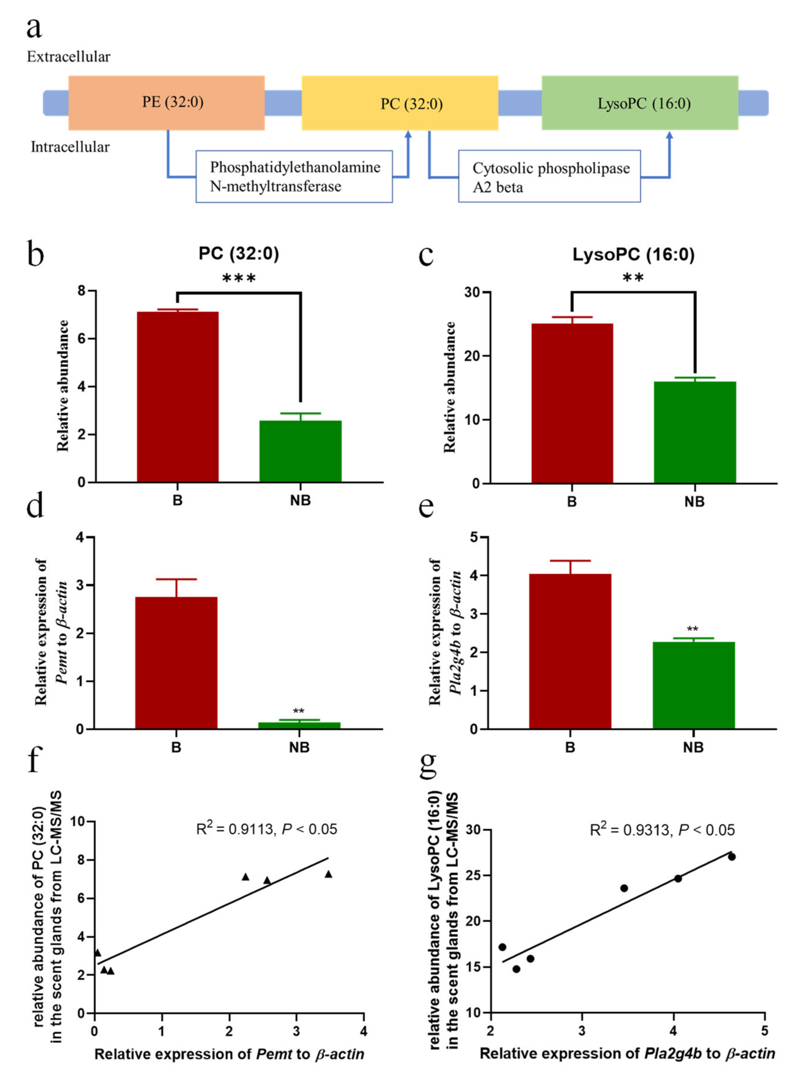 Cells 11 02228 g005 Cells 11 02228 g005