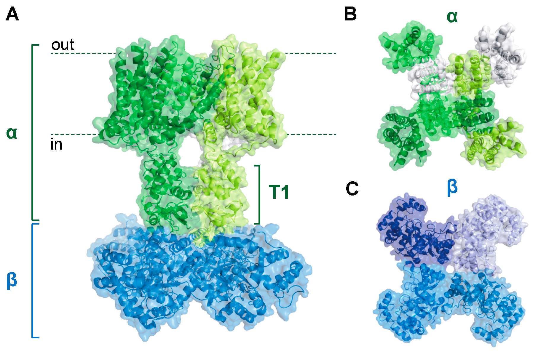 Cells 11 02230 g001 Cells 11 02230 g001
