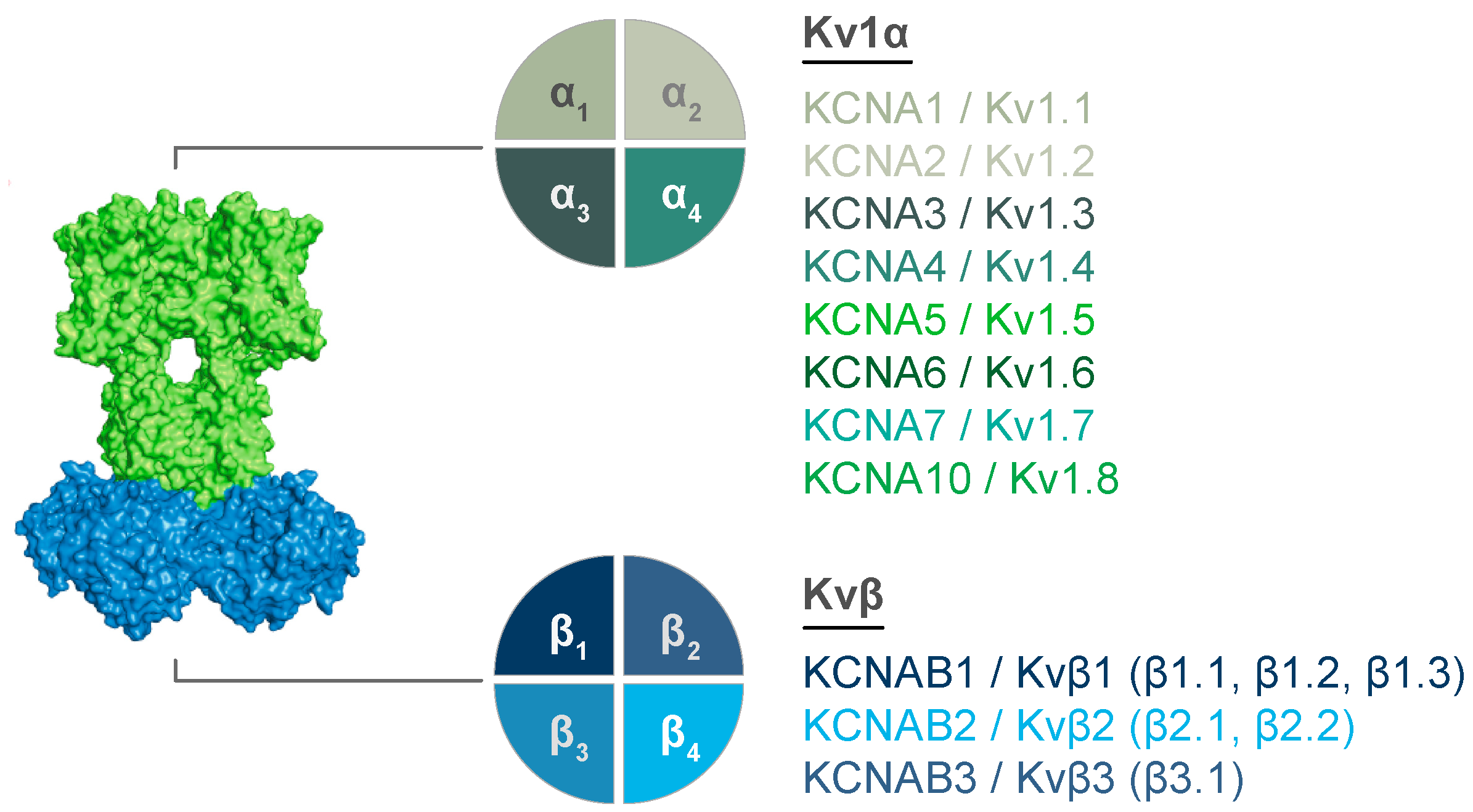 Cells 11 02230 g002 Cells 11 02230 g002