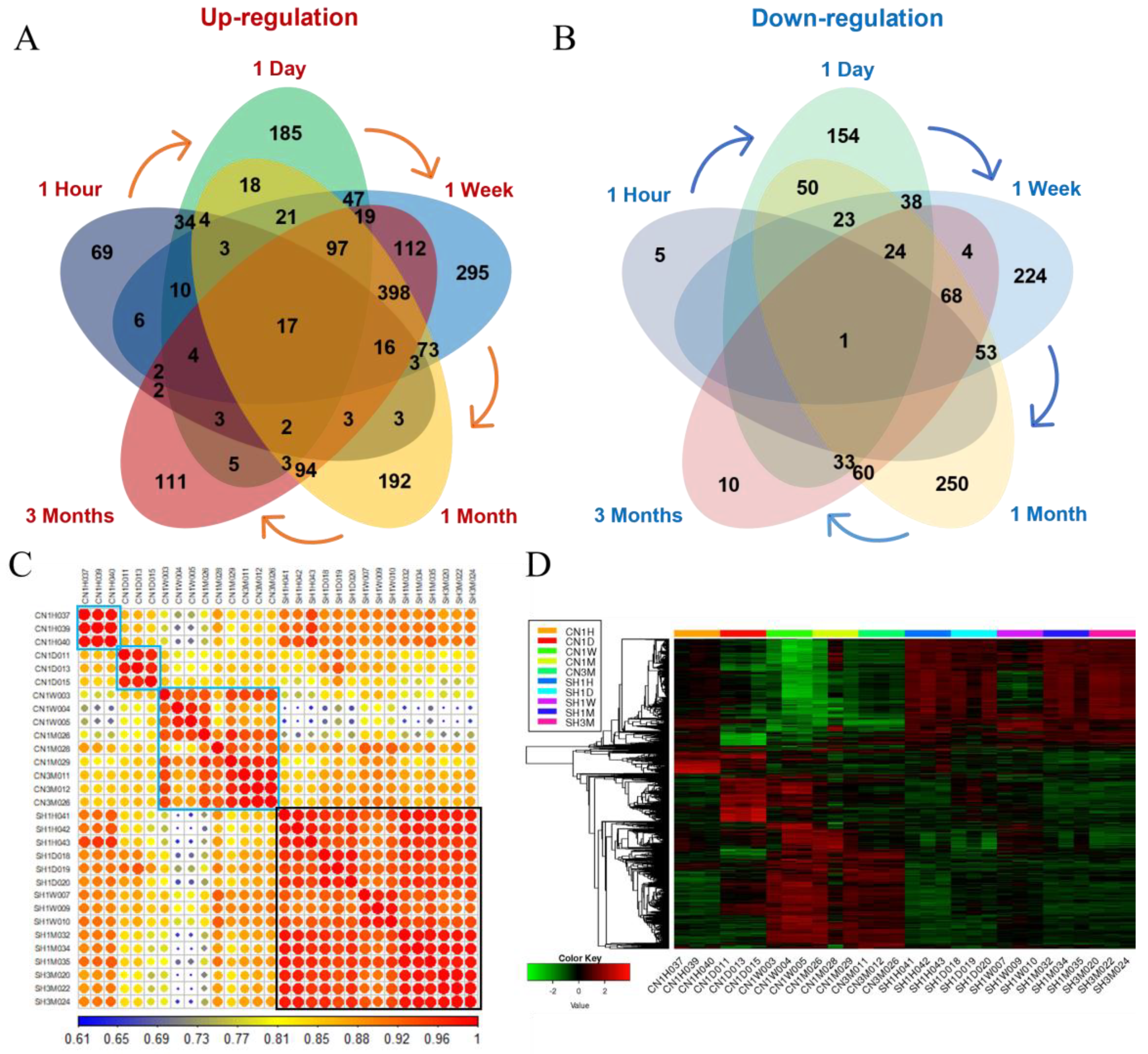 Cells 11 02236 g005 Cells 11 02236 g005