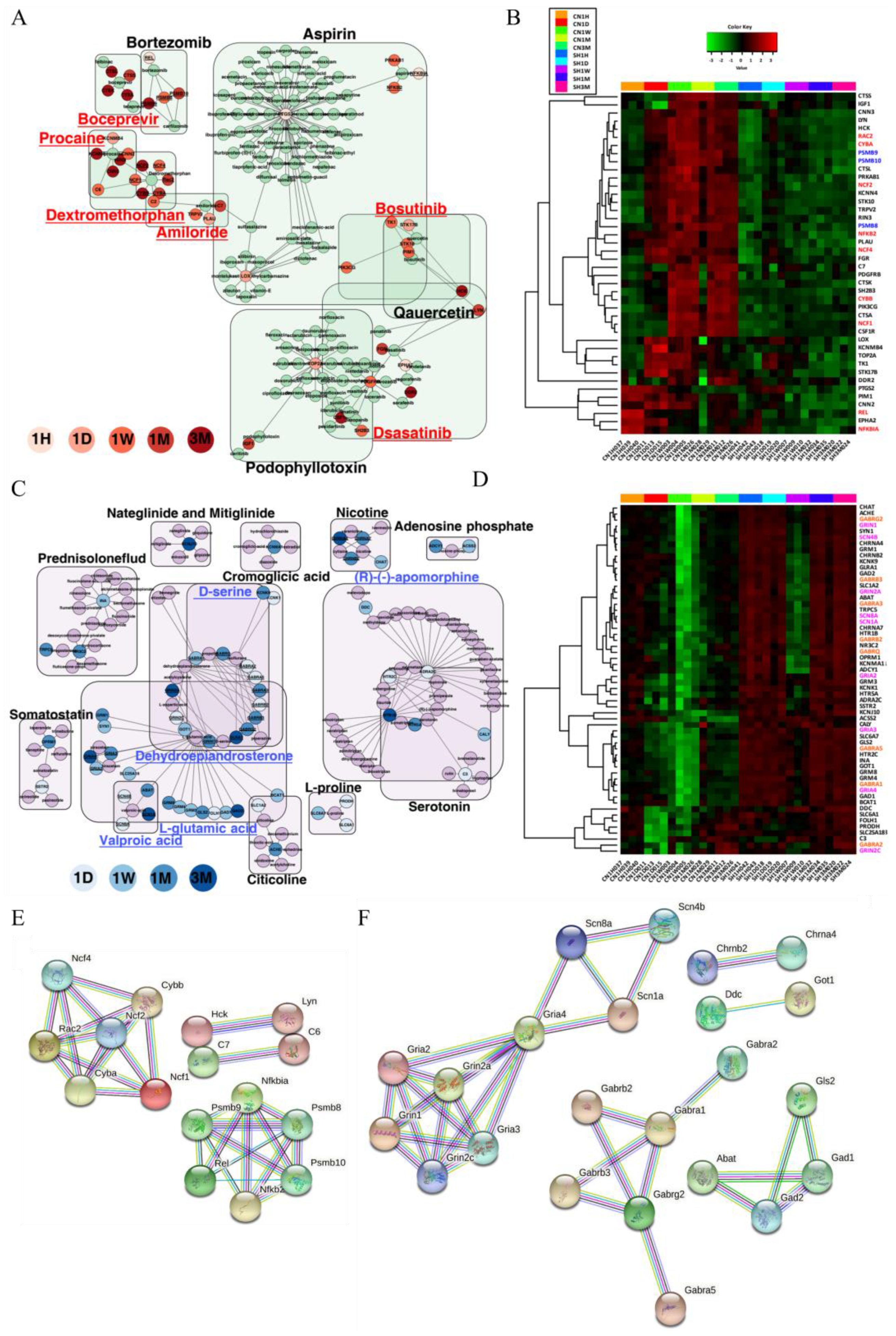 Cells 11 02236 g008 Cells 11 02236 g008