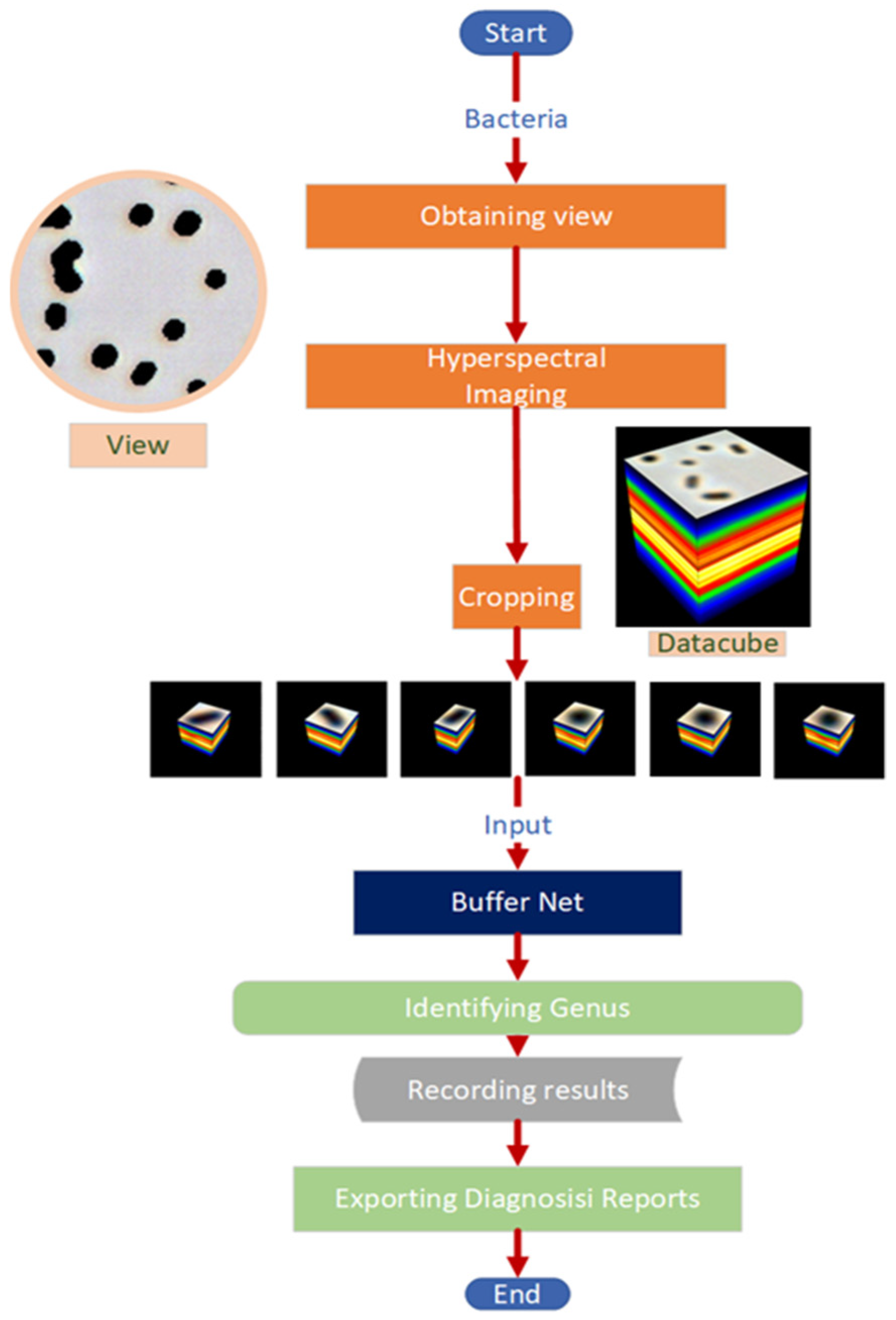 Cells 11 02237 g001 550