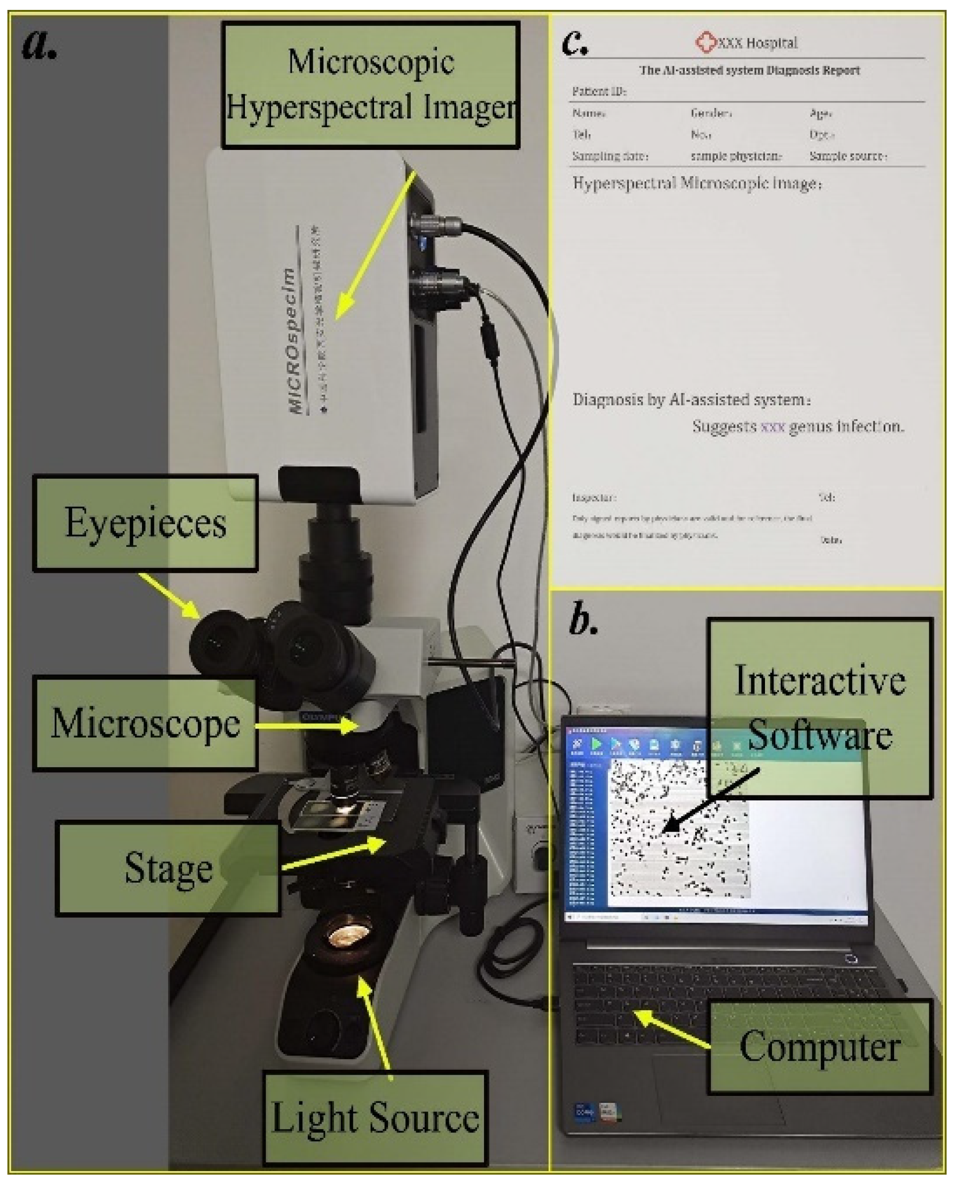 Cells 11 02237 g002 550