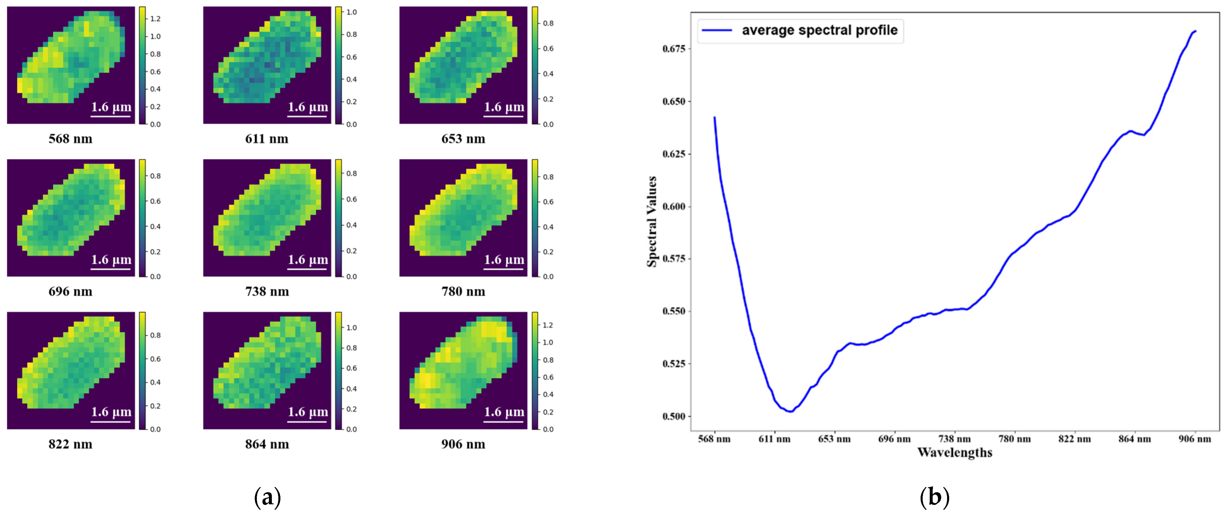 Cells 11 02237 g004 550