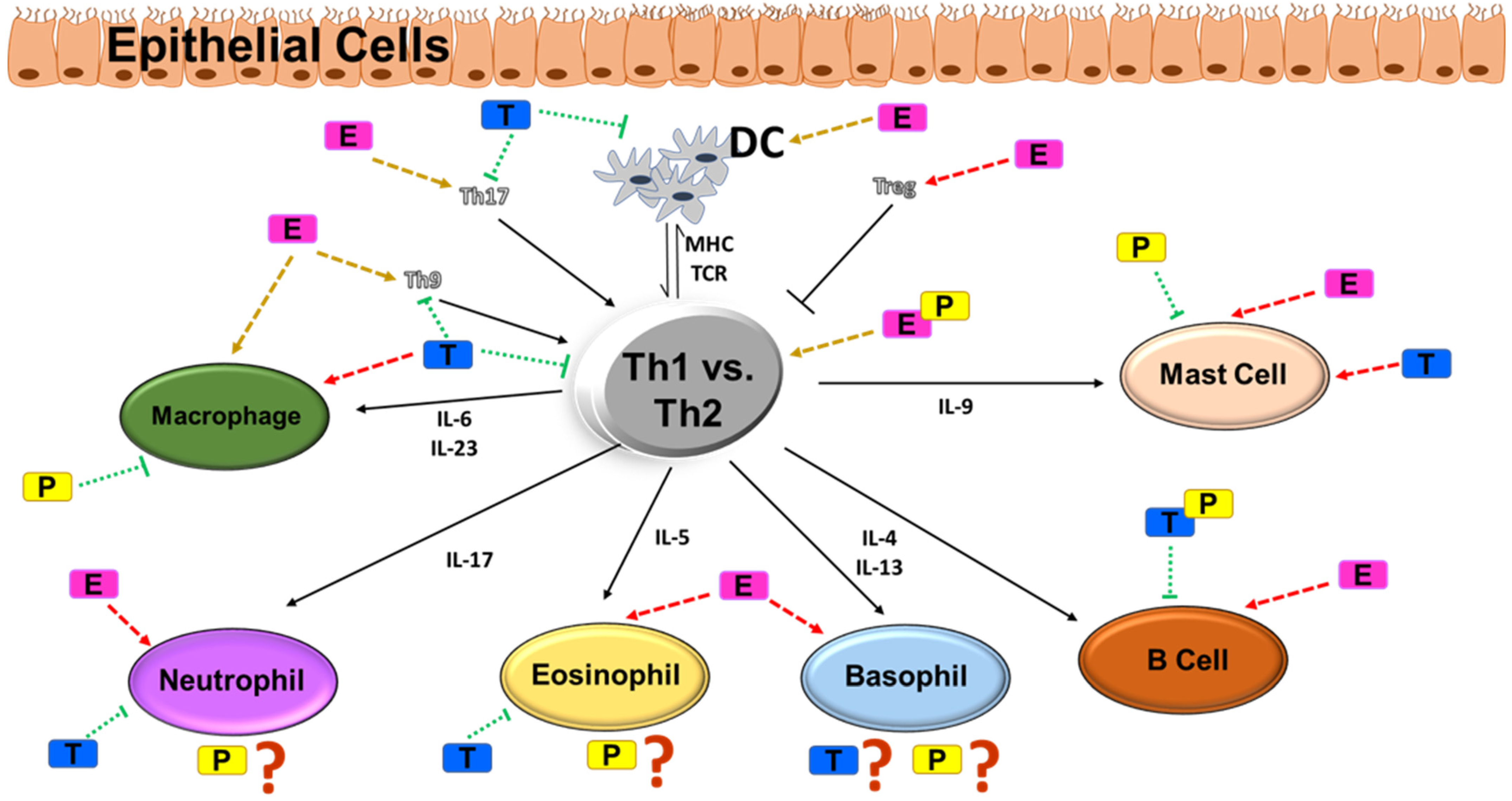 Cells 11 02238 g002 Cells 11 02238 g002
