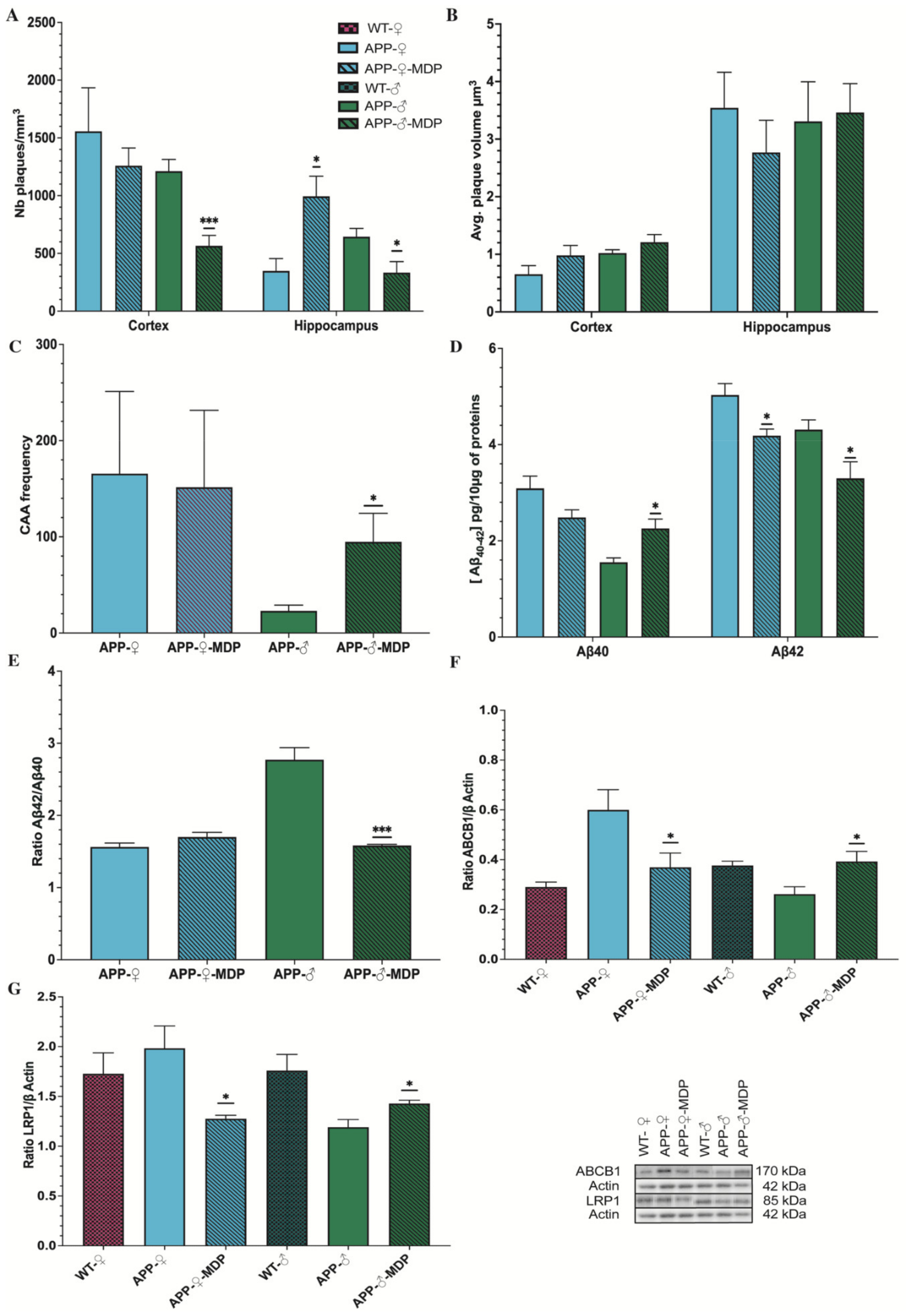 Cells 11 02241 g004 550
