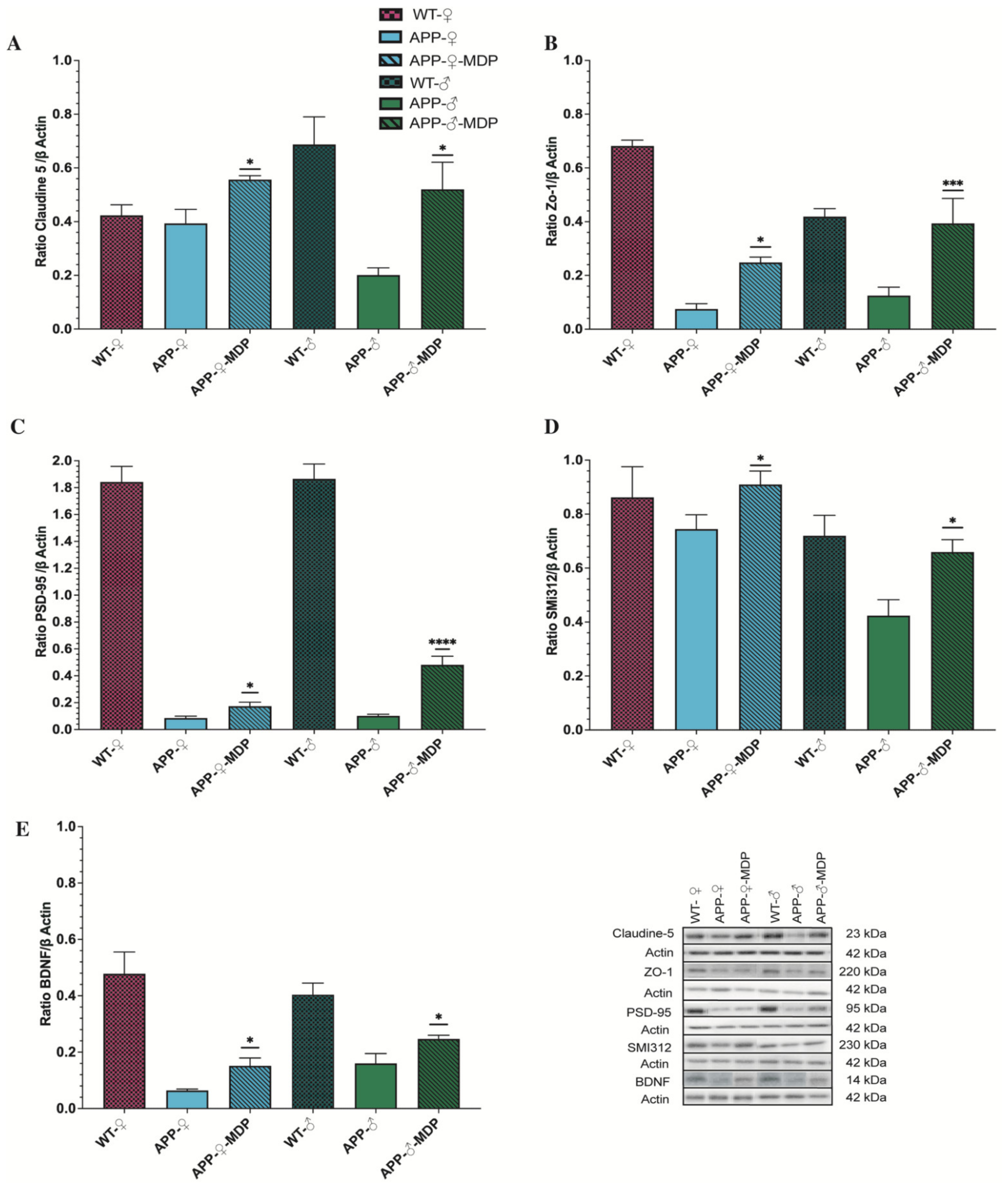 Cells 11 02241 g006 550