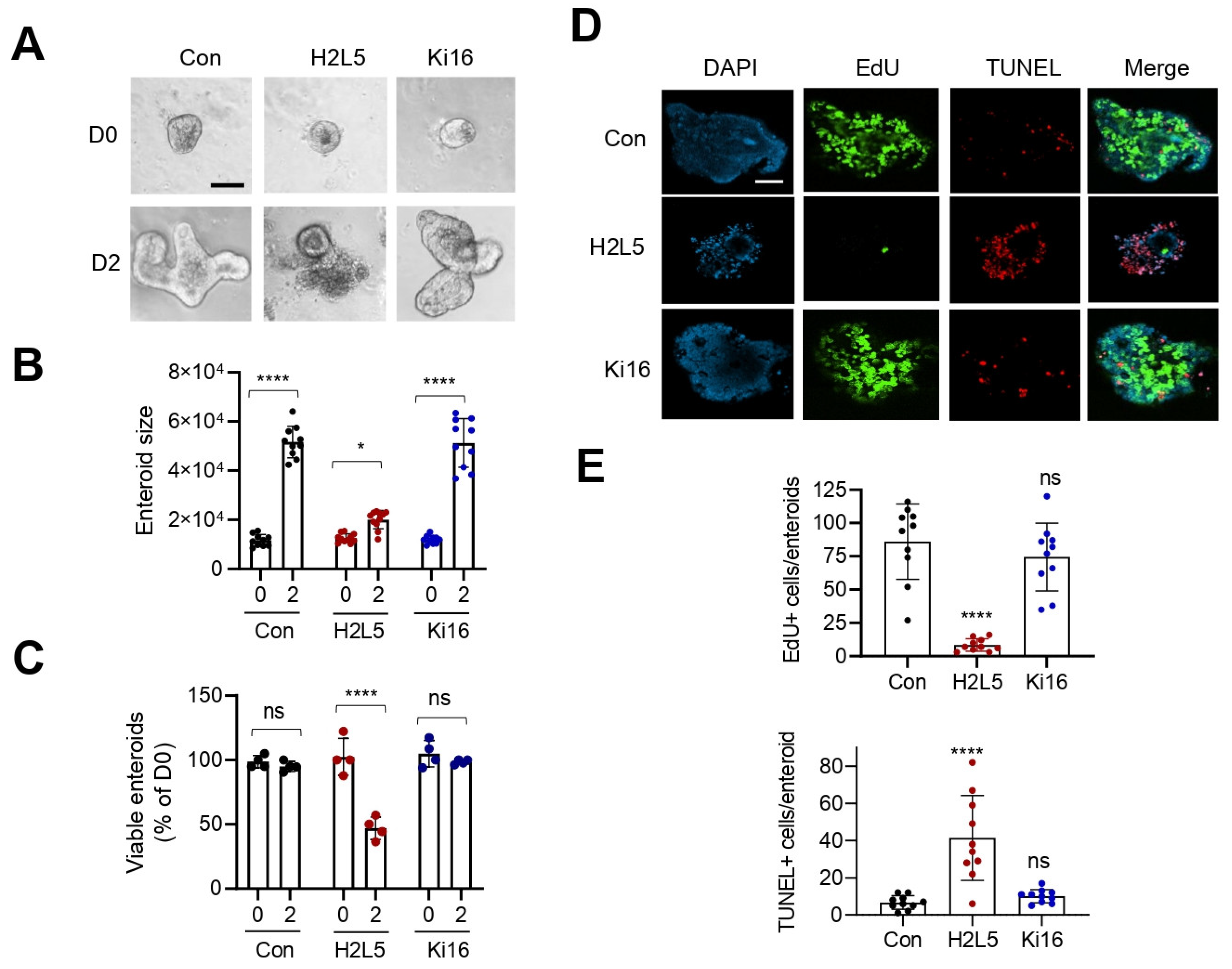 Cells 11 02243 g002 Cells 11 02243 g002
