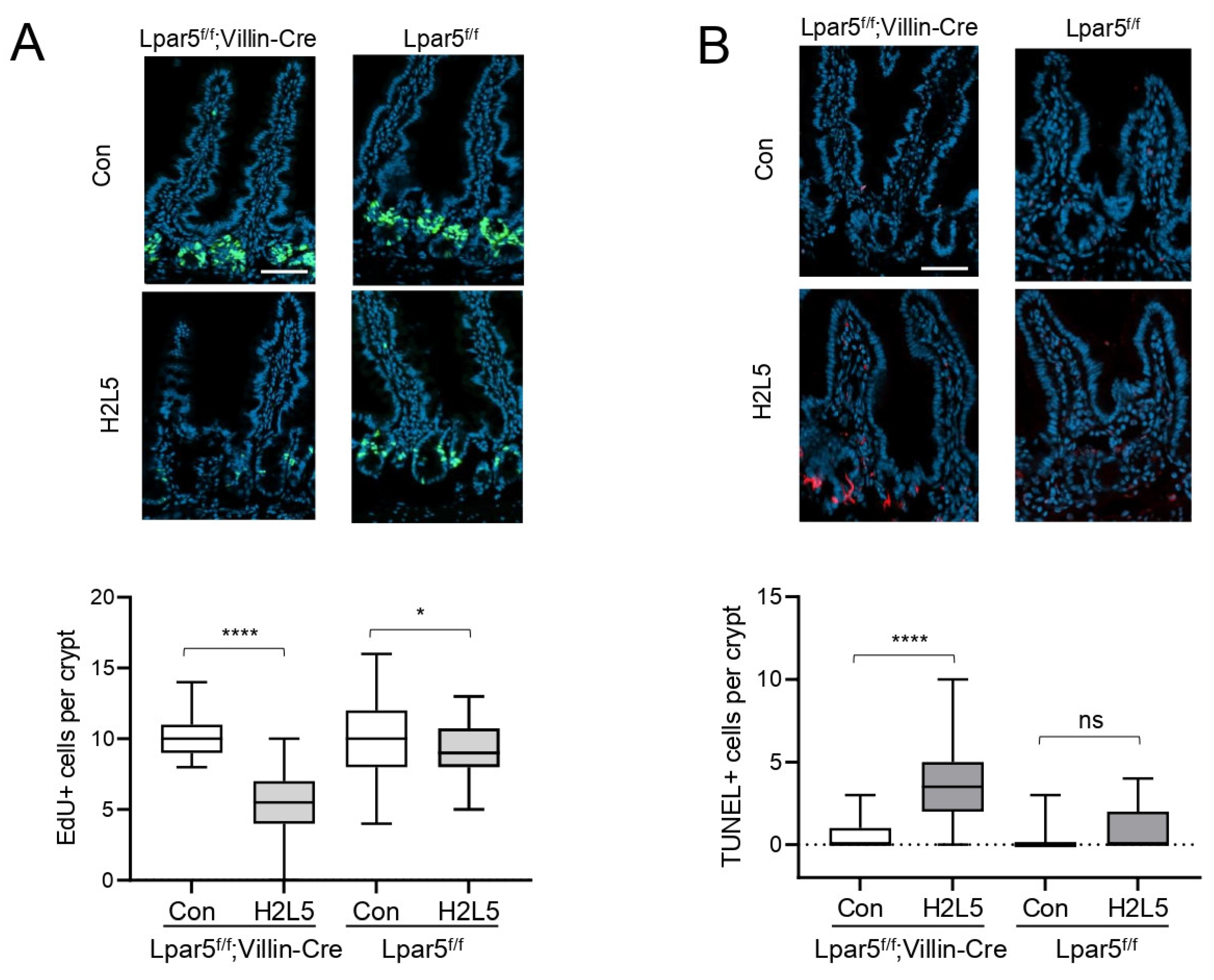 Cells 11 02243 g003 Cells 11 02243 g003