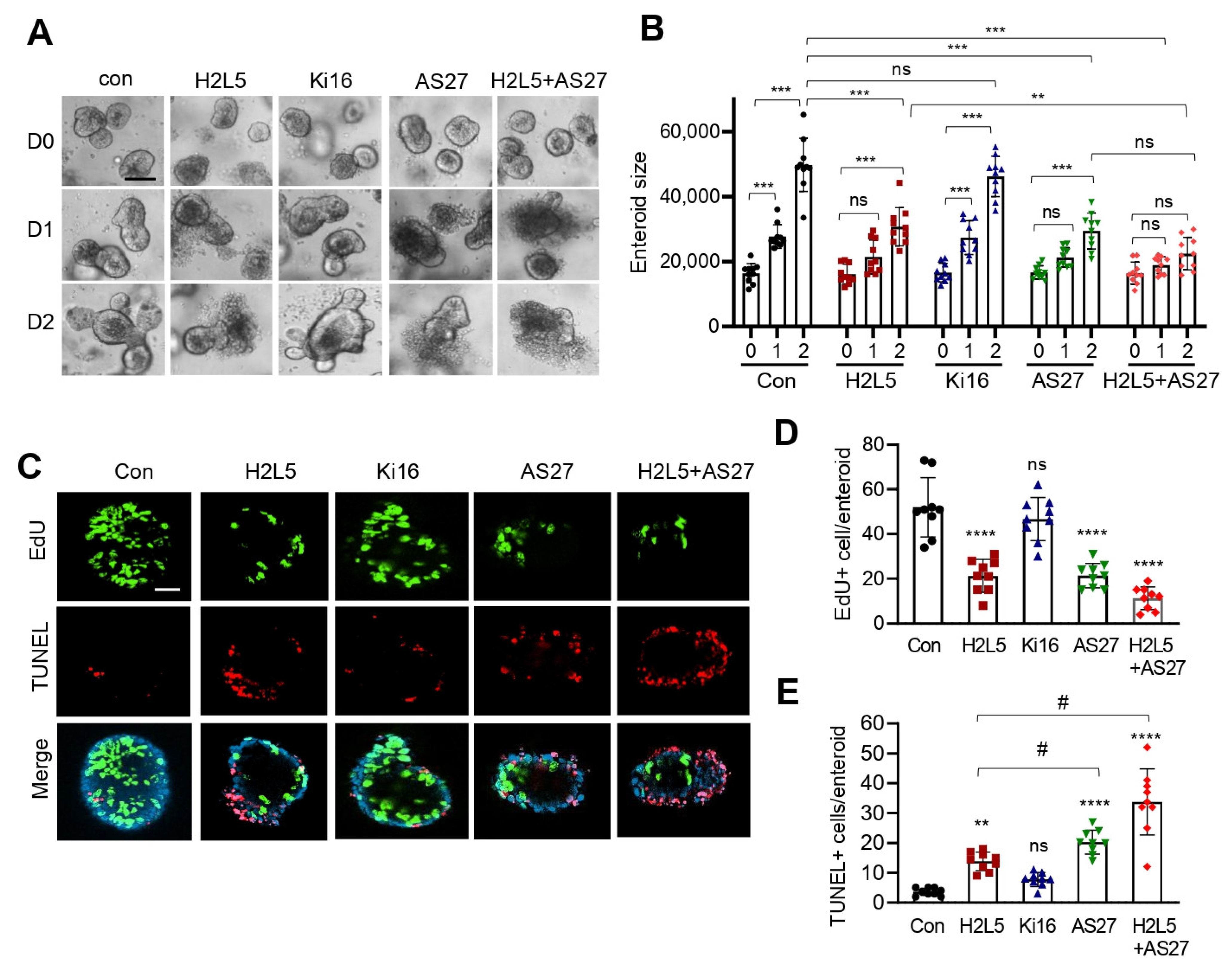 Cells 11 02243 g004 Cells 11 02243 g004