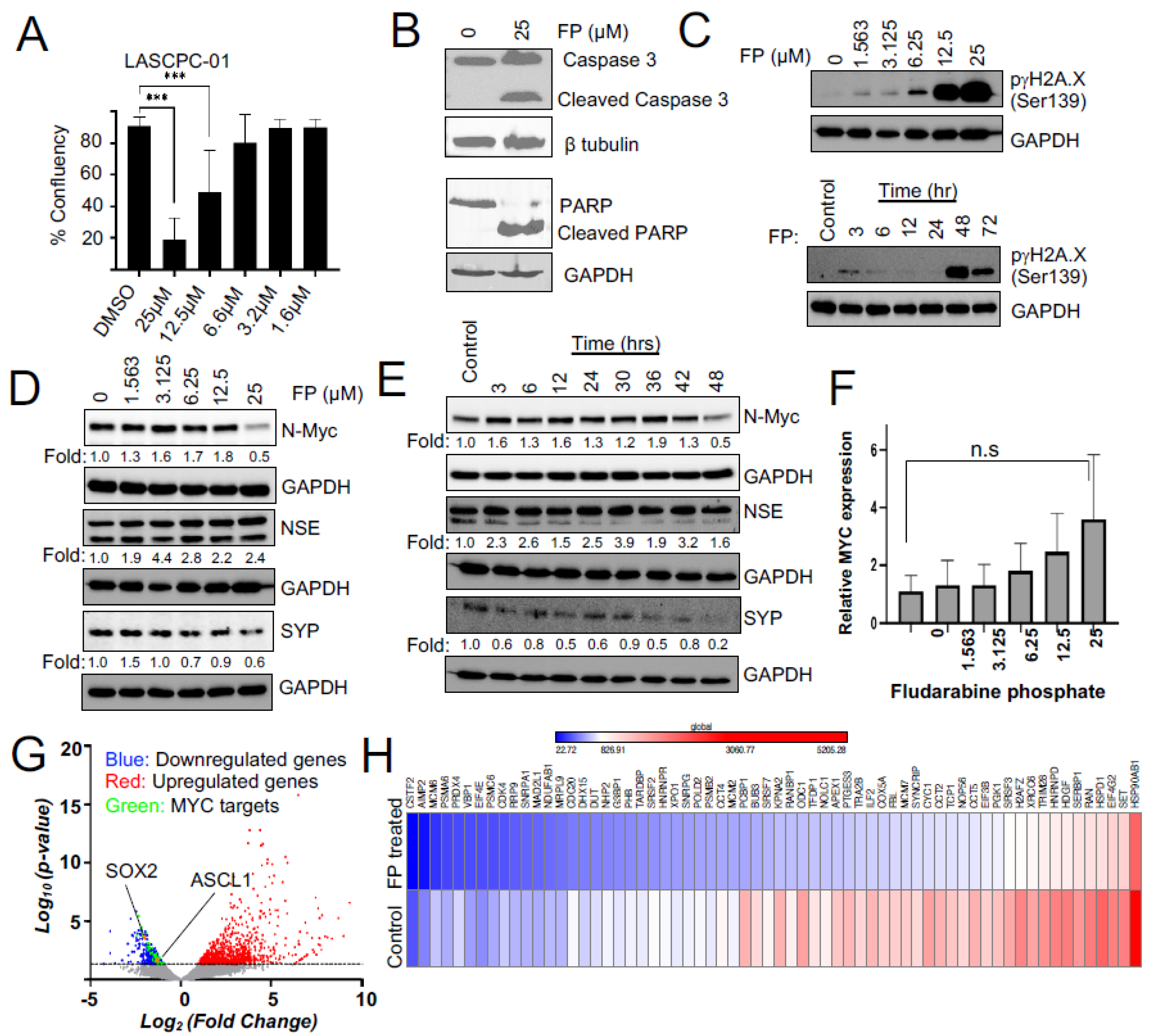 Cells 11 02246 g003 Cells 11 02246 g003