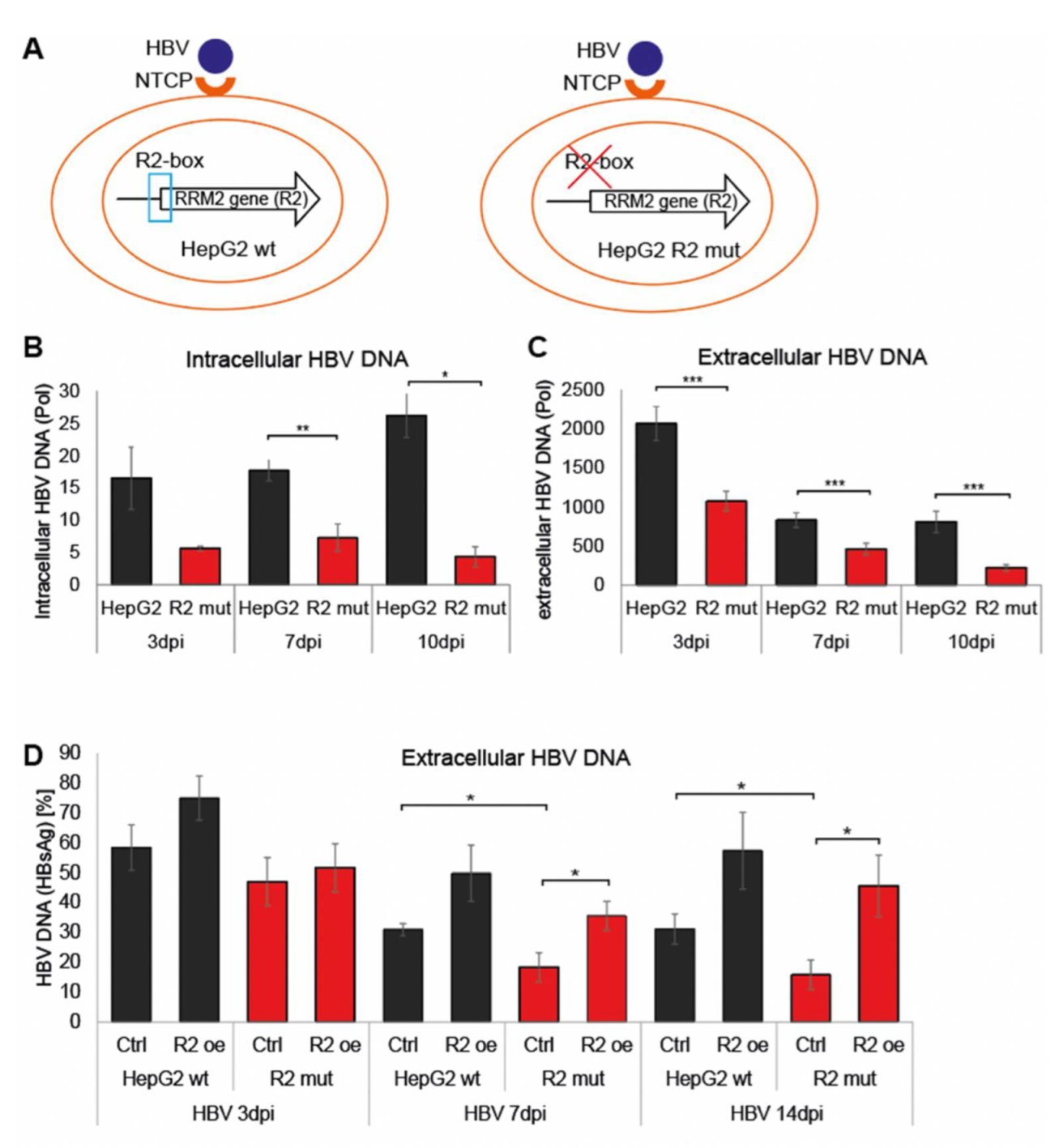 Cells 11 02248 g003 550