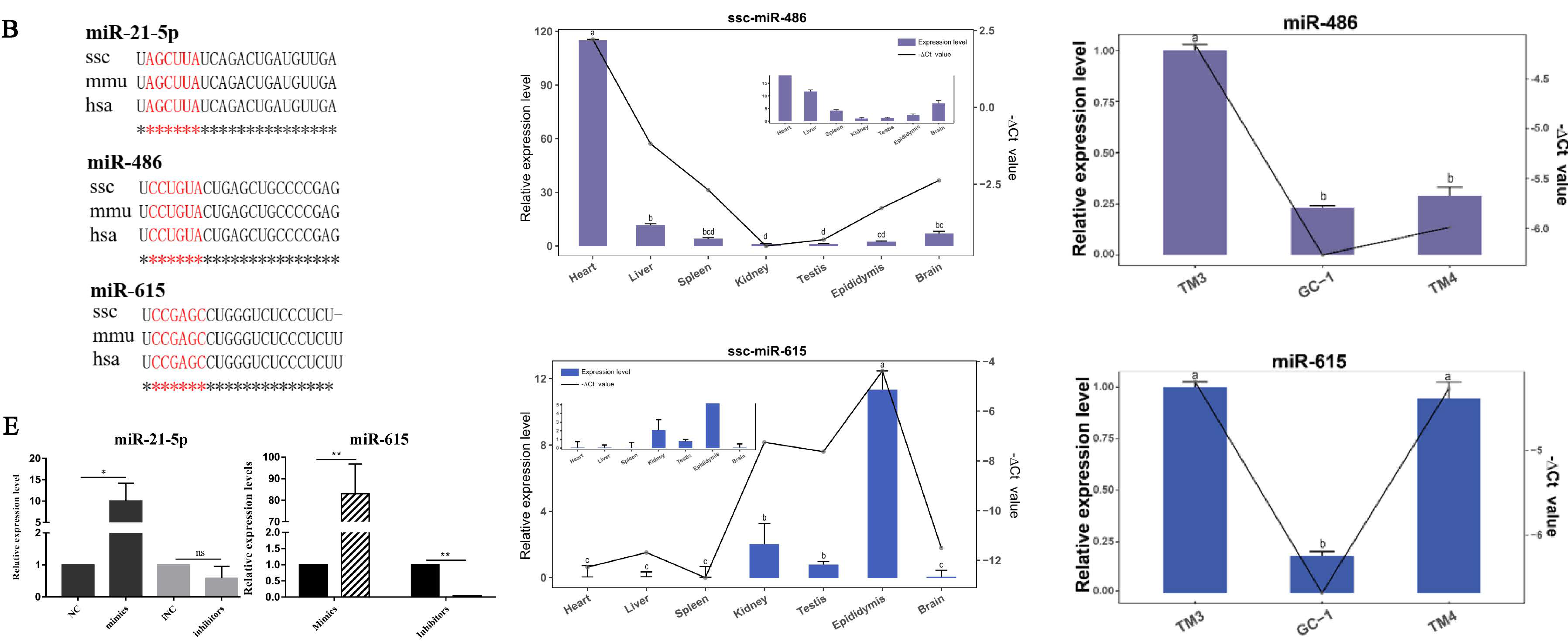 Cells 11 02253 g001b