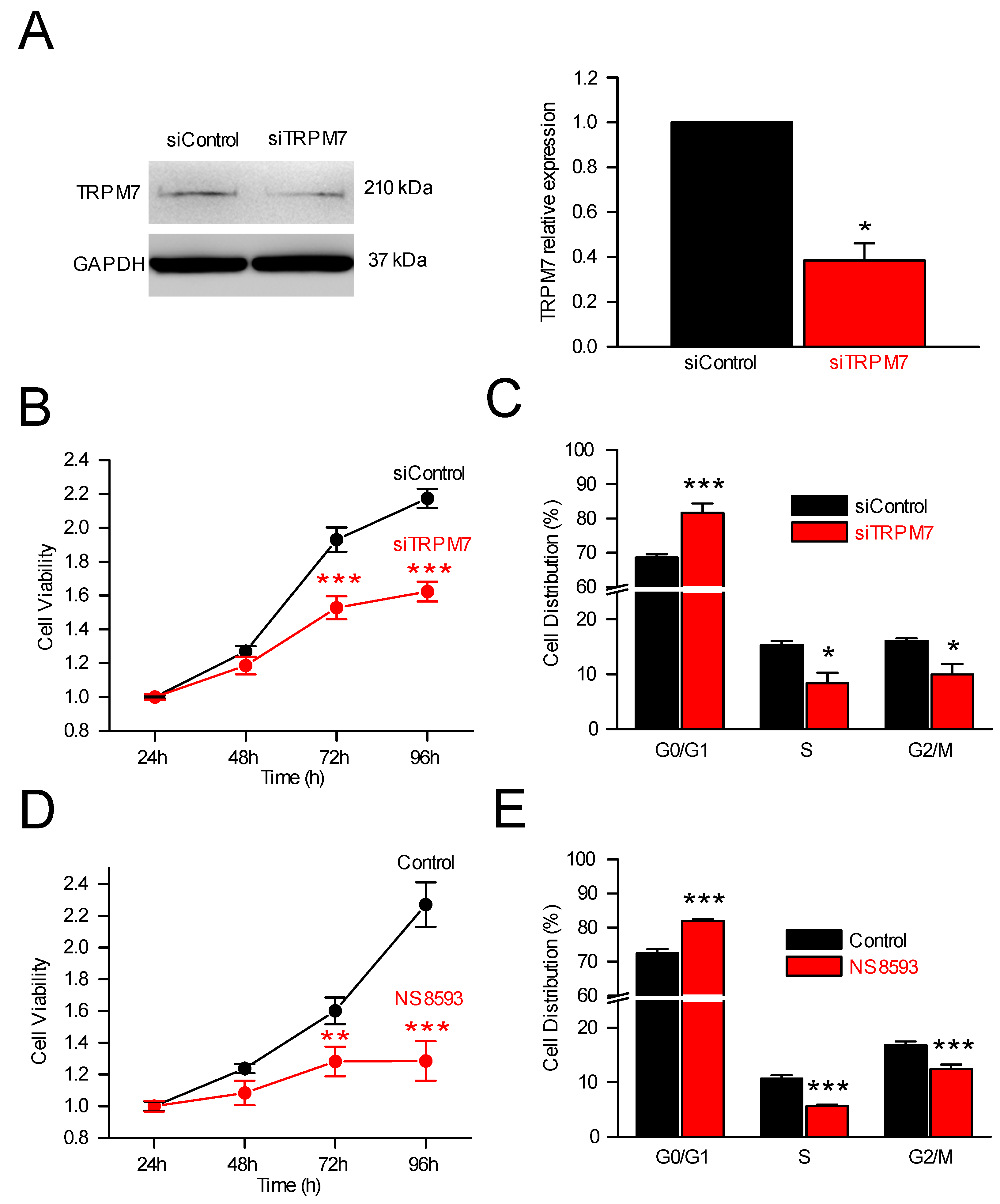 Cells 11 02255 g002 Cells 11 02255 g002