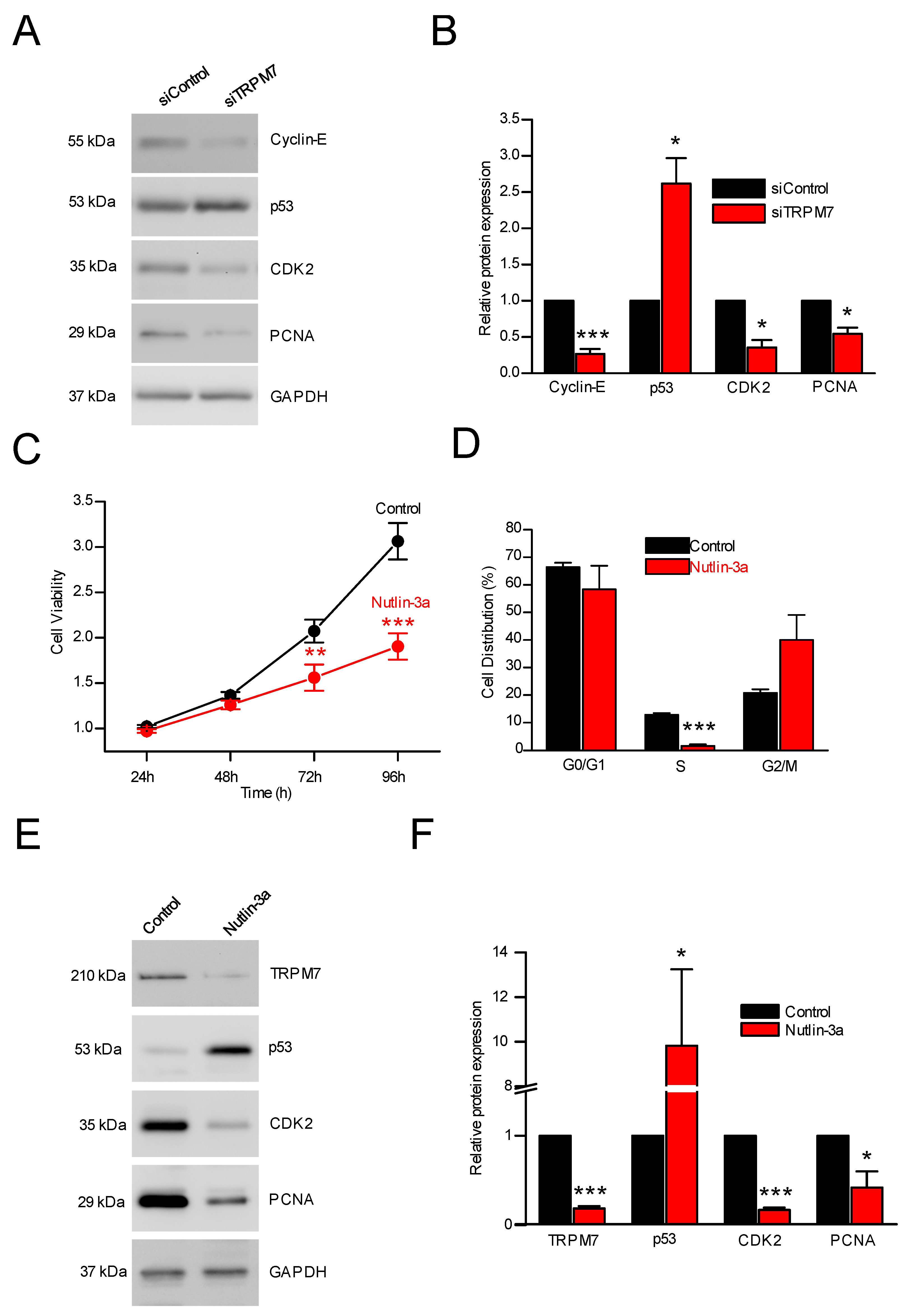 Cells 11 02255 g003 Cells 11 02255 g003