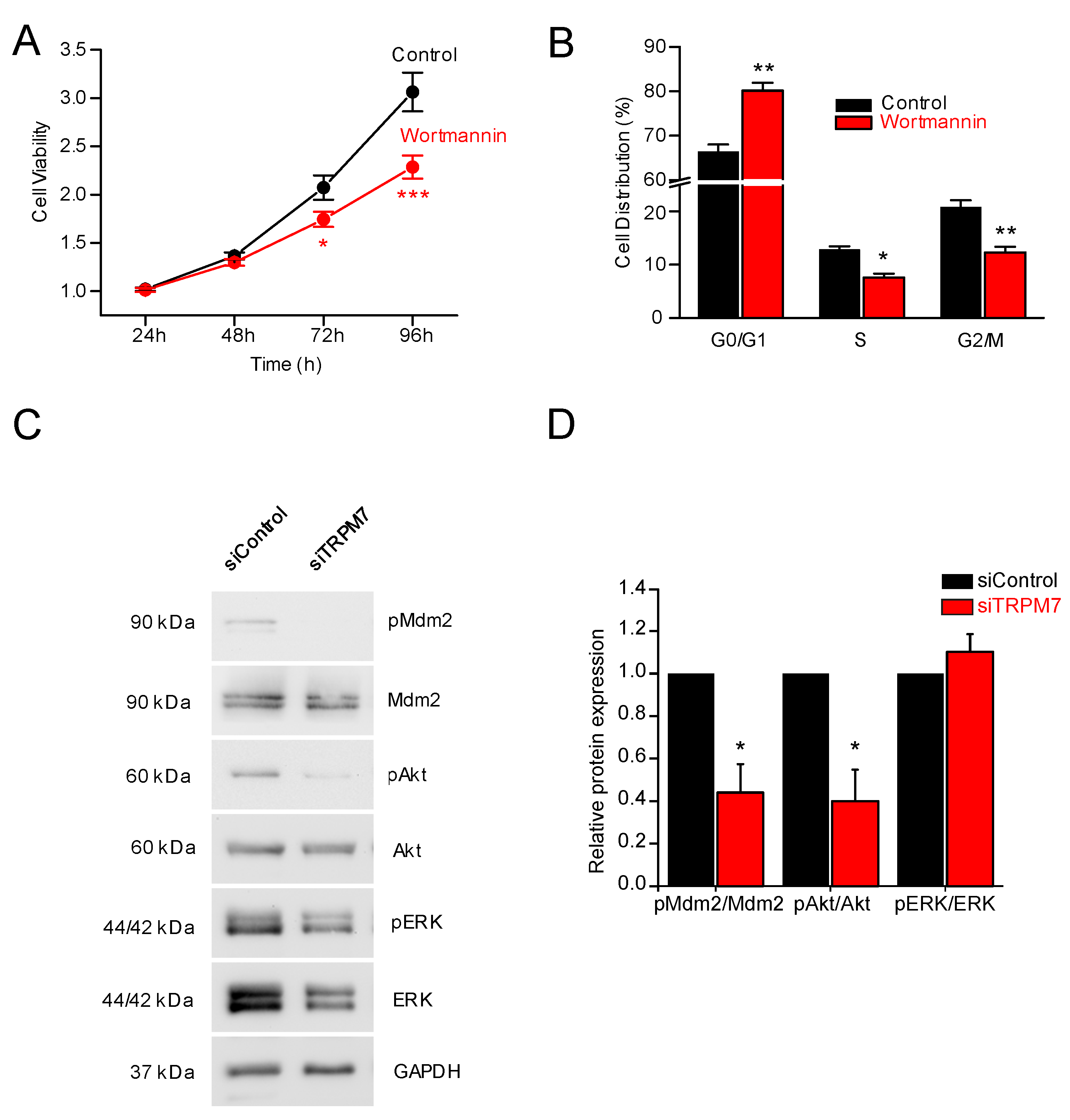 Cells 11 02255 g004 Cells 11 02255 g004