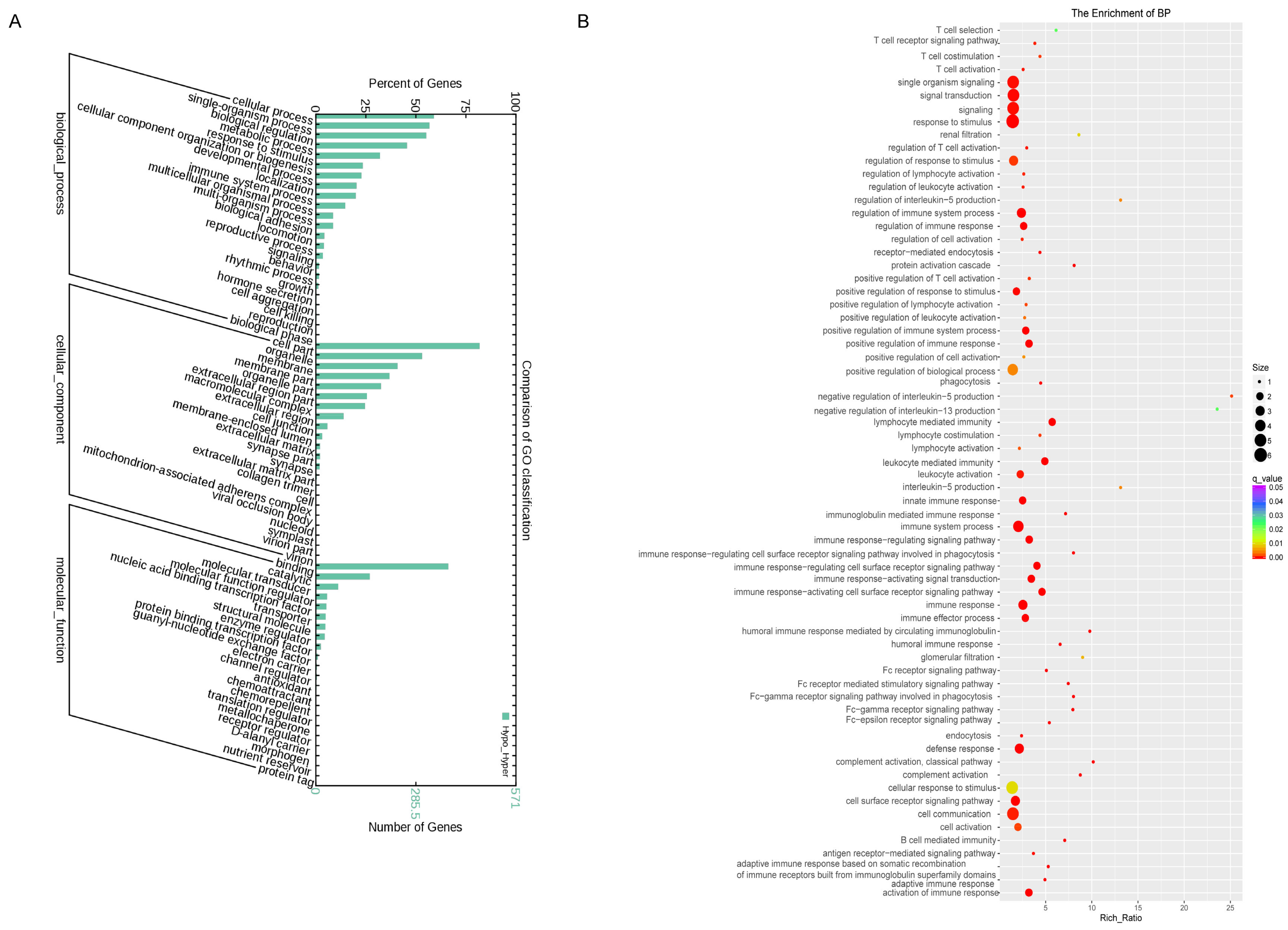 Cells 11 02256 g002 550
