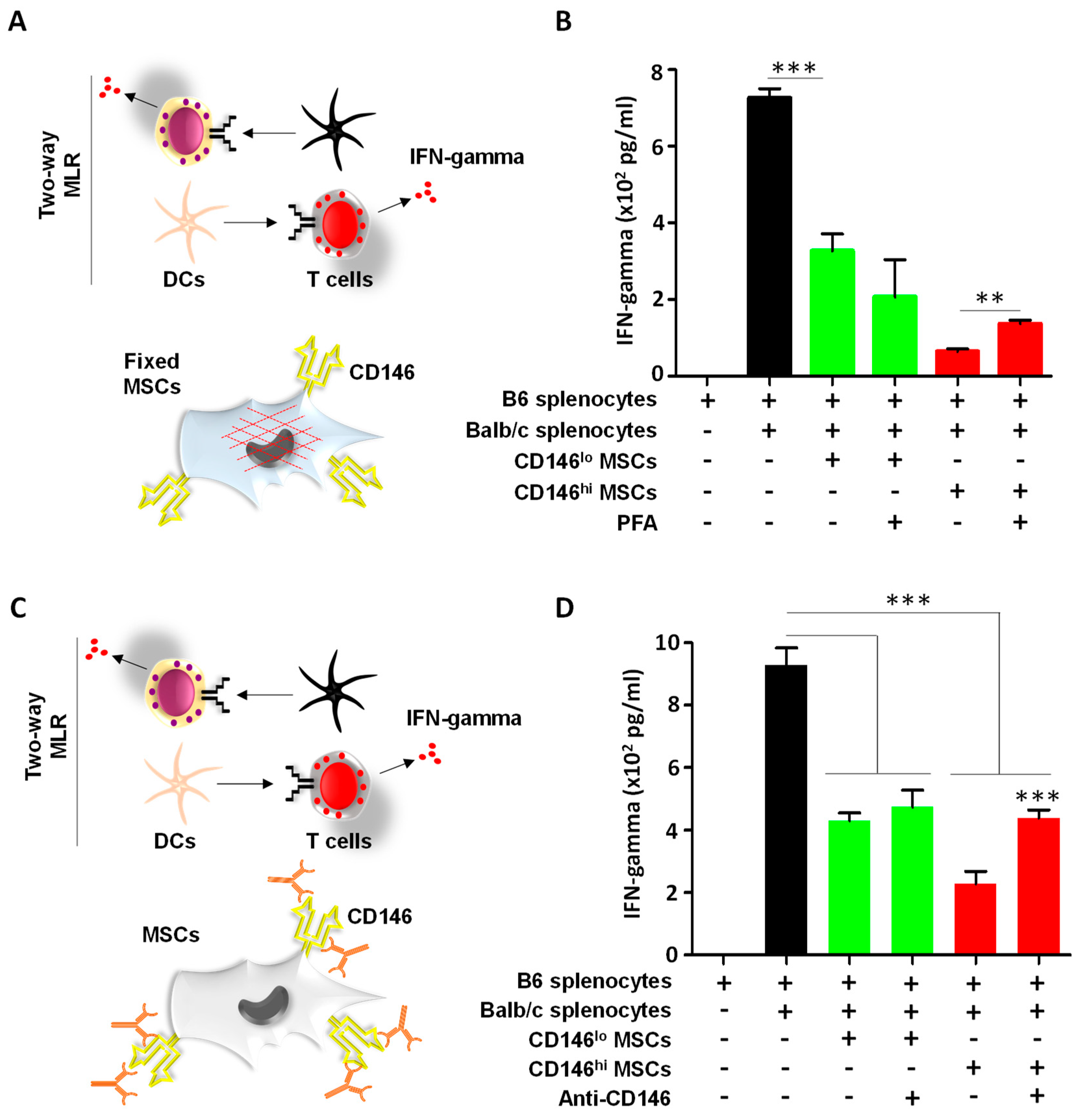 Cells 11 02263 g003 550