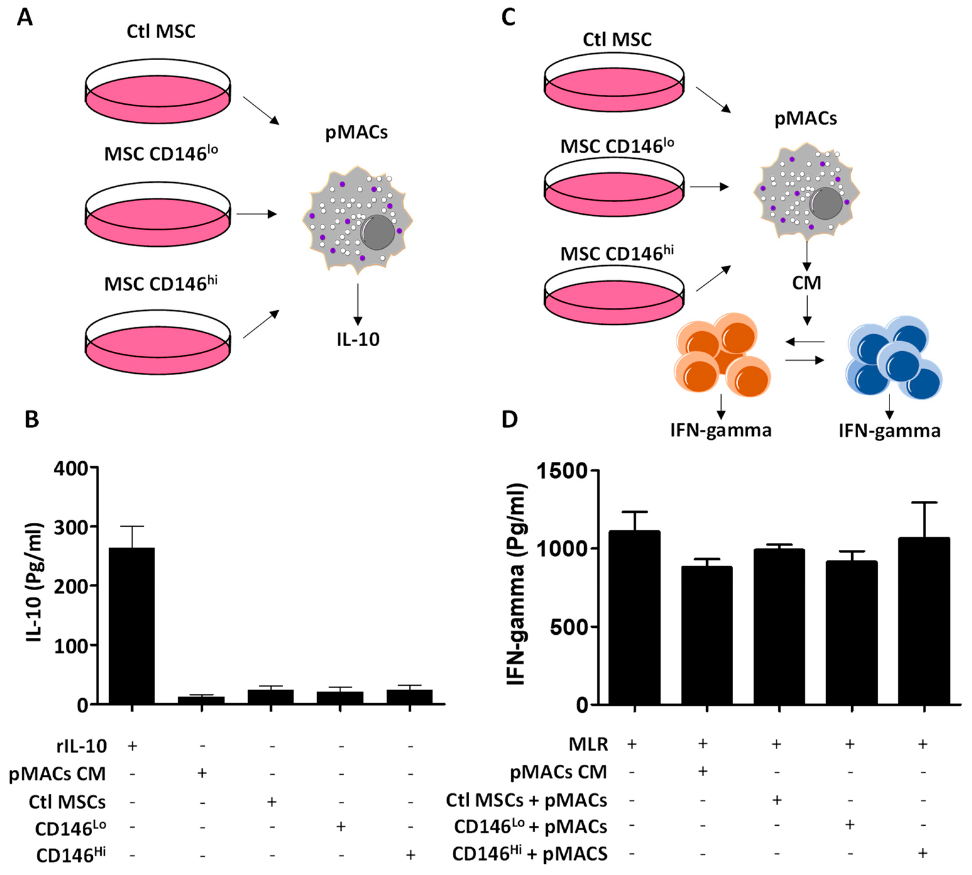 Cells 11 02263 g004 550