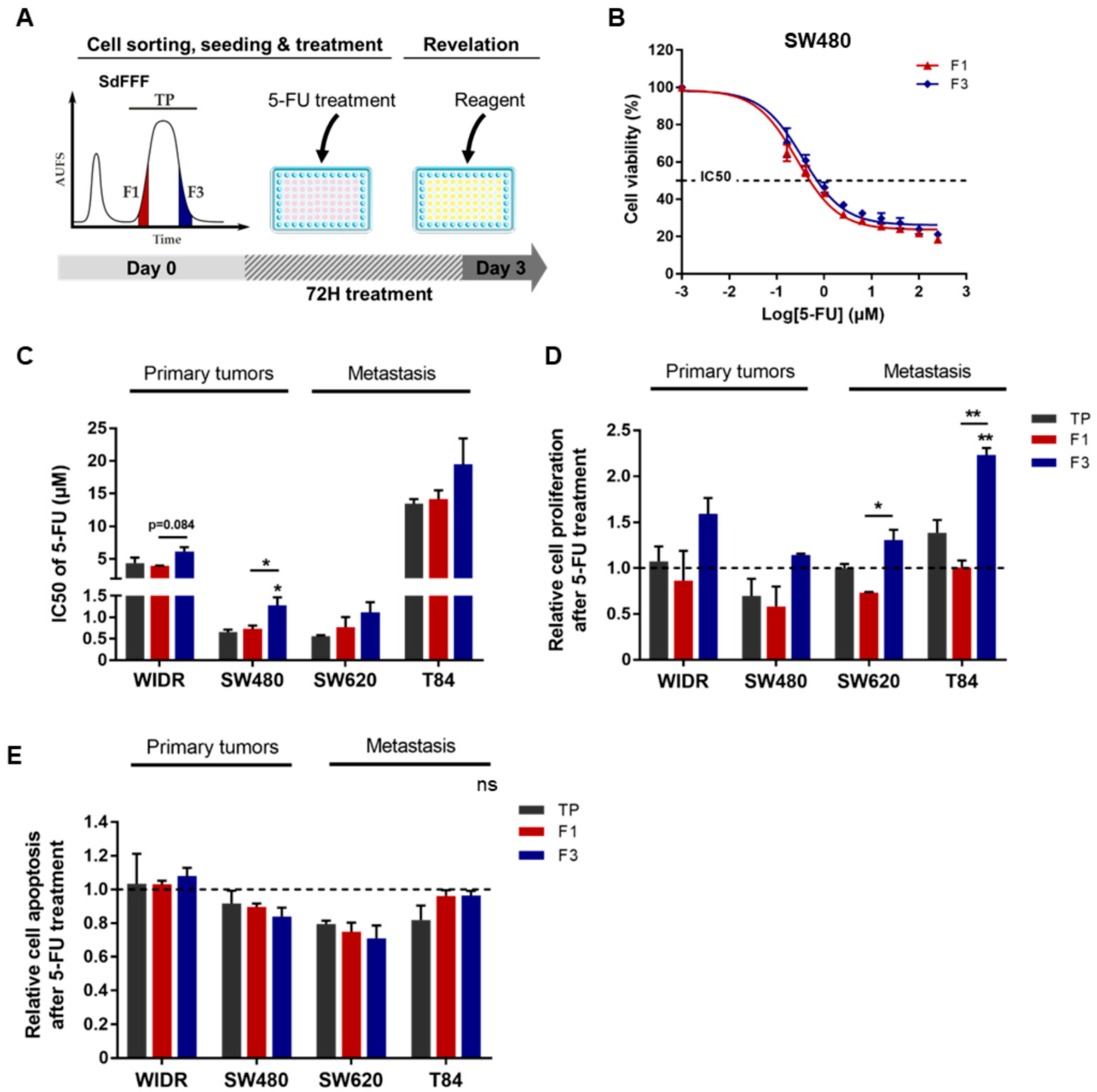 Cells 11 02264 g004 550