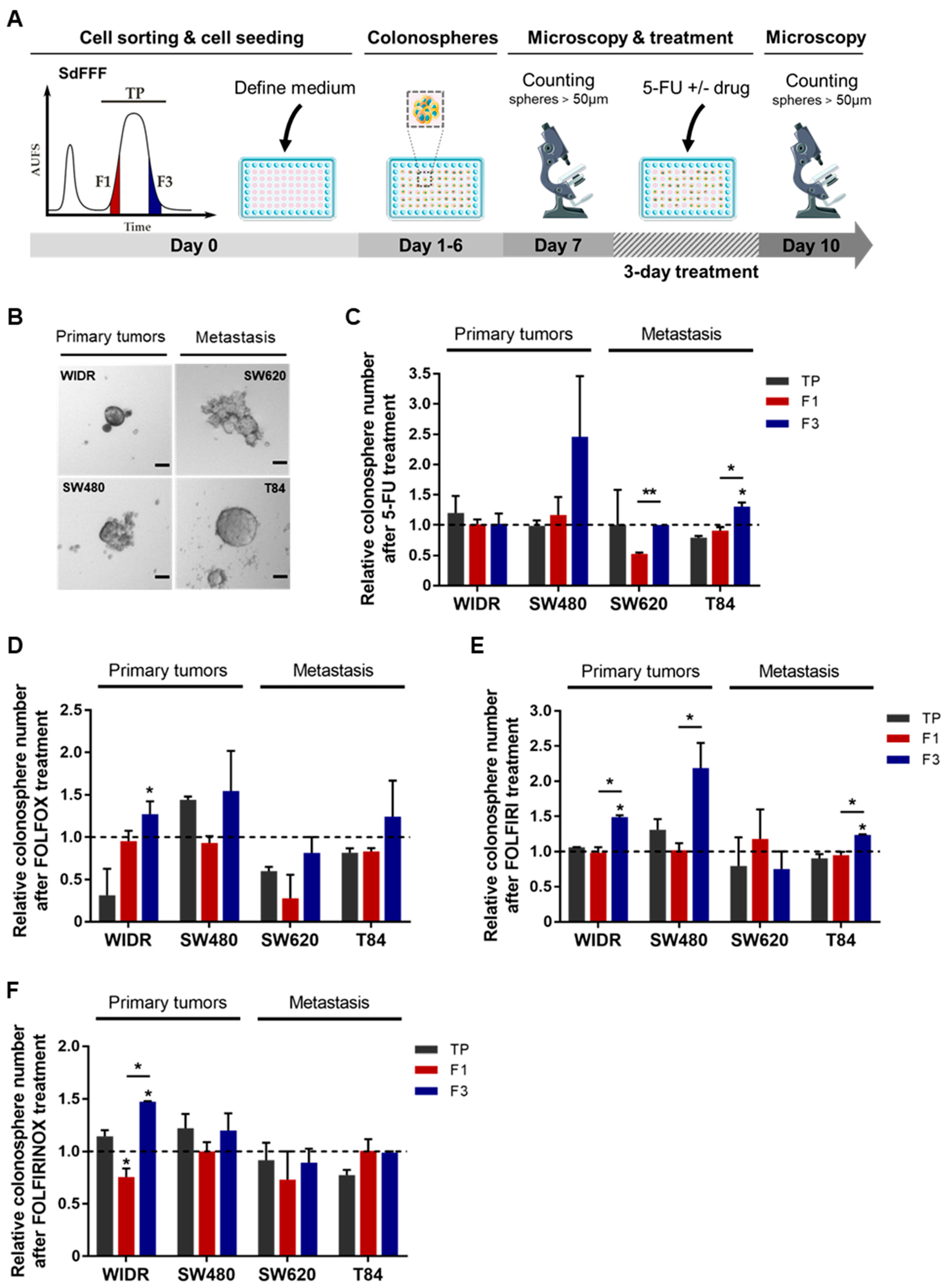 Cells 11 02264 g005 550