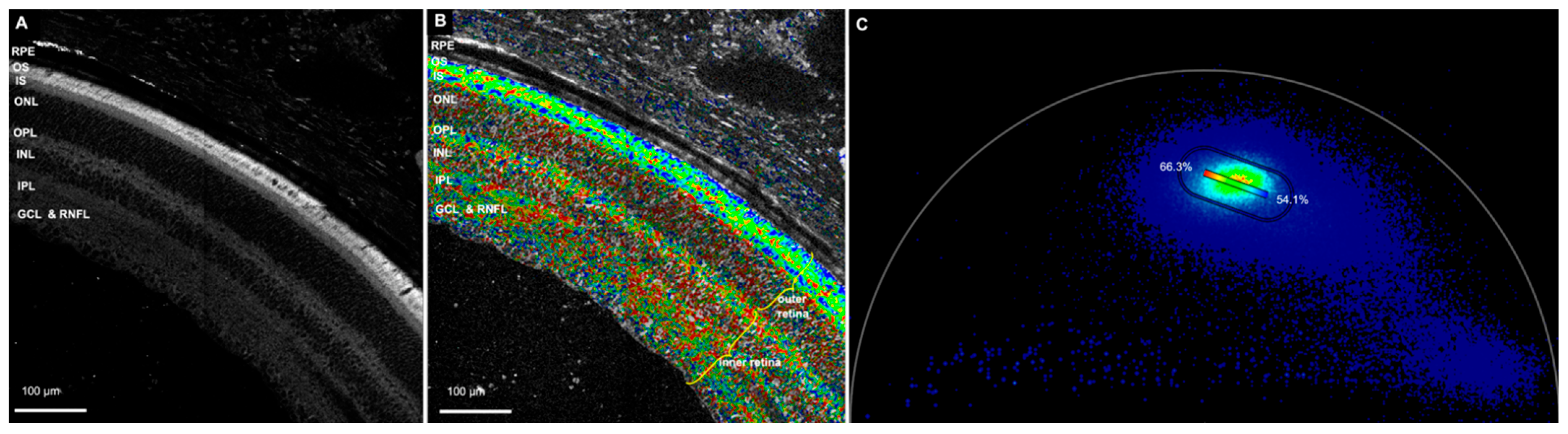 Cells 11 02265 g001 Cells 11 02265 g001