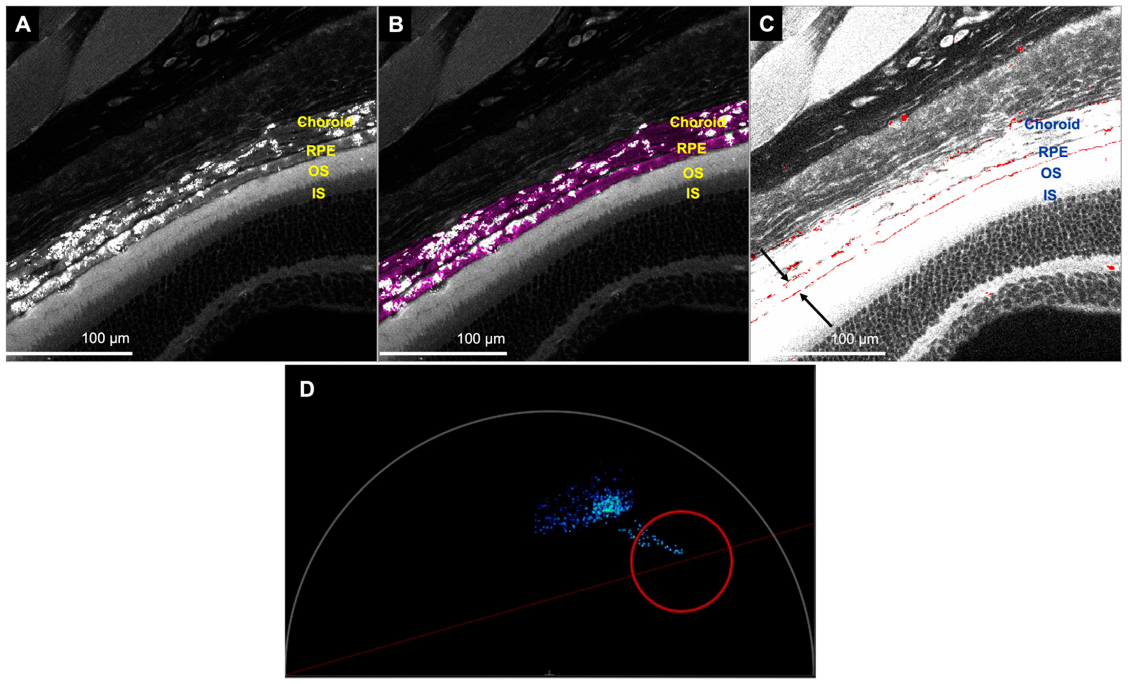 Cells 11 02265 g006 Cells 11 02265 g006