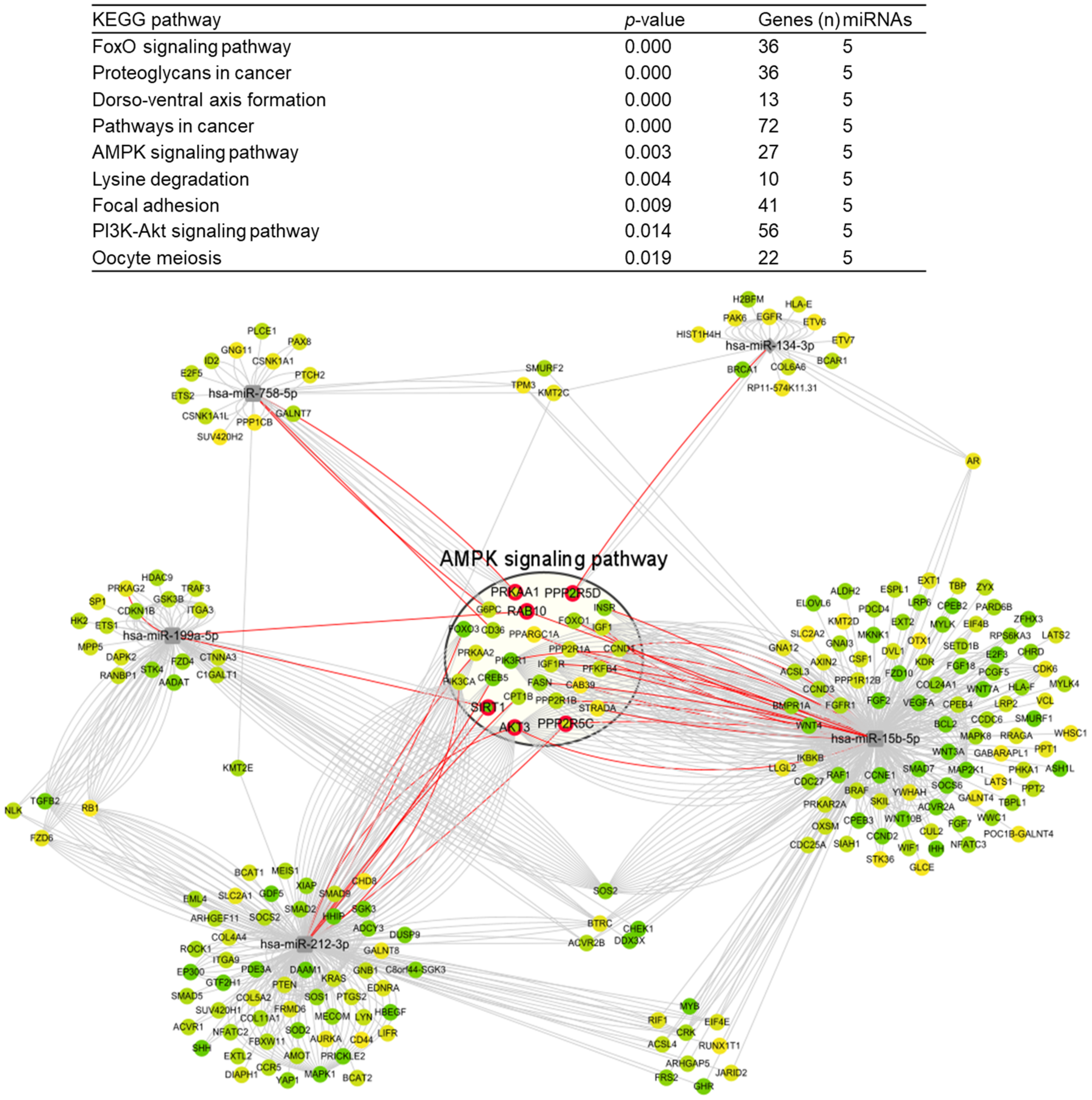 Cells 11 02266 g005 Cells 11 02266 g005