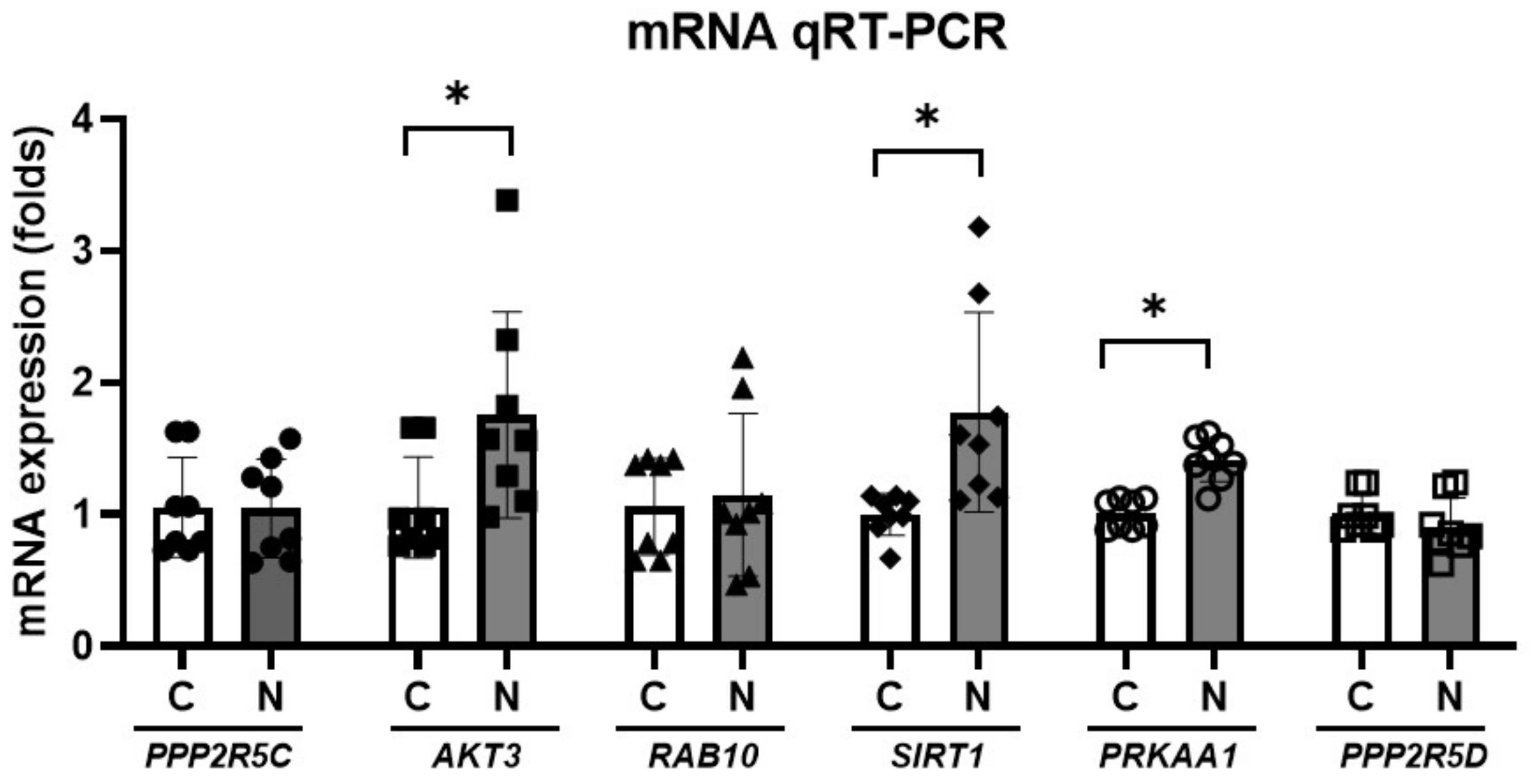 Cells 11 02266 g006 Cells 11 02266 g006