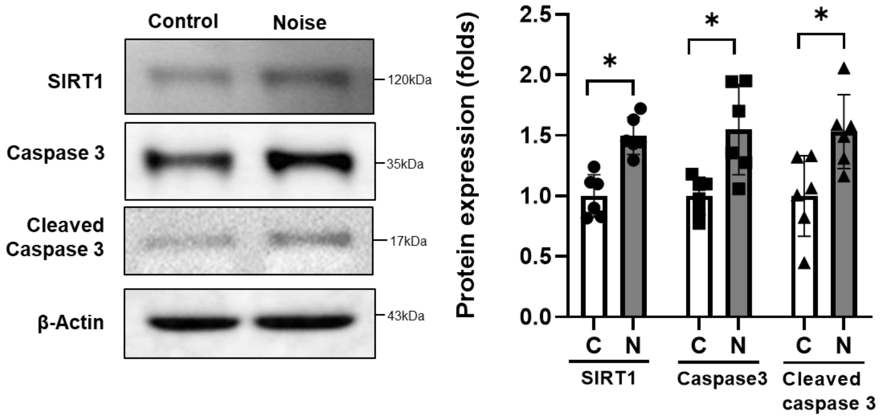 Cells 11 02266 g007 Cells 11 02266 g007
